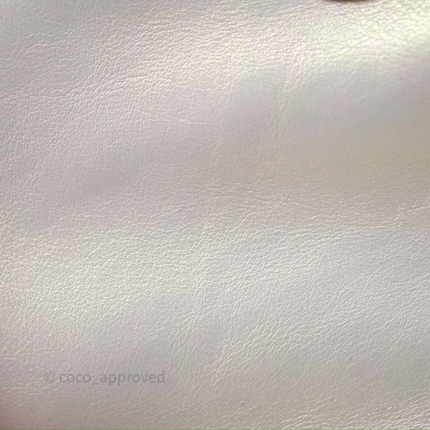 Chanel 19 Small Iridescent White Mixed Hardware