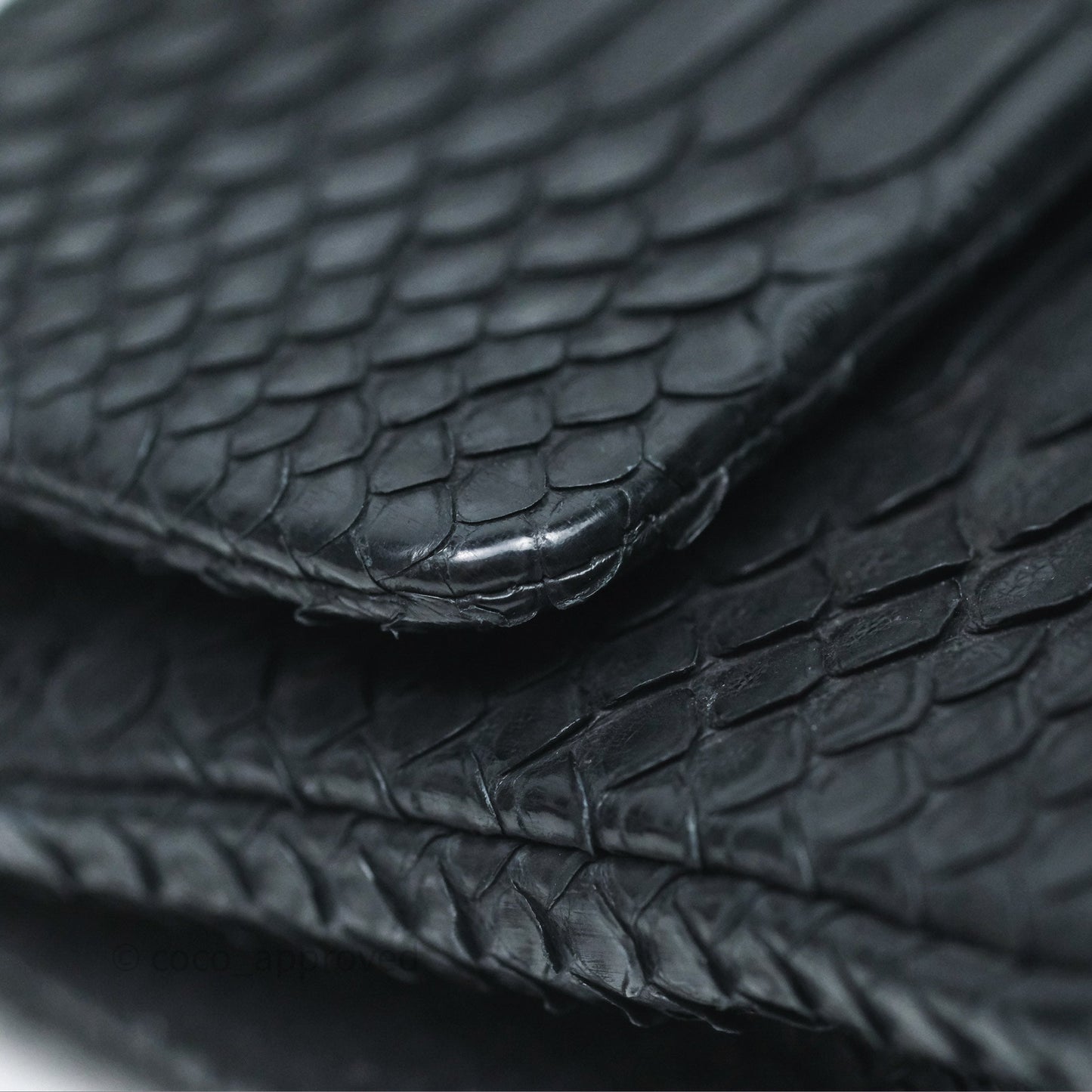 Chanel Classic M/L Medium Flap So Black Python Black Hardware