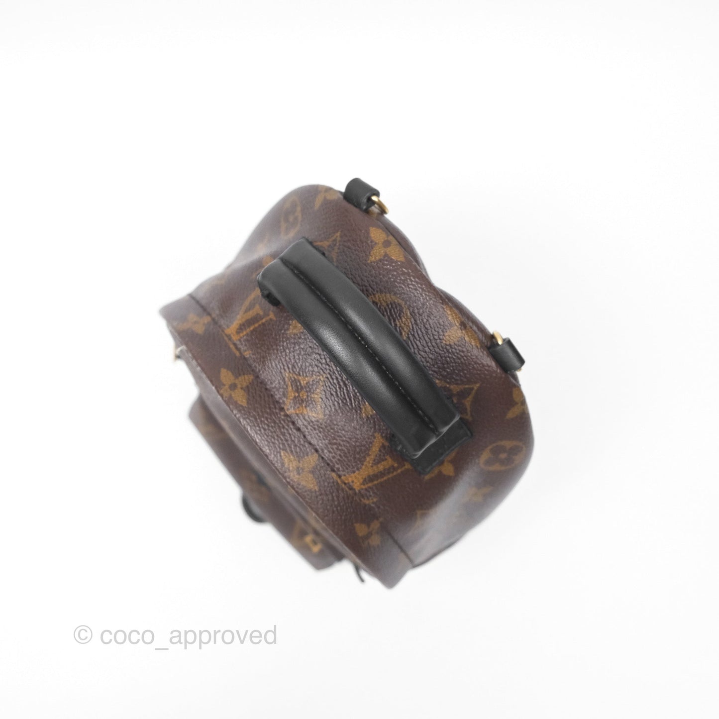 Louis Vuitton Monogram Mini Palm Springs Backpack⁣
