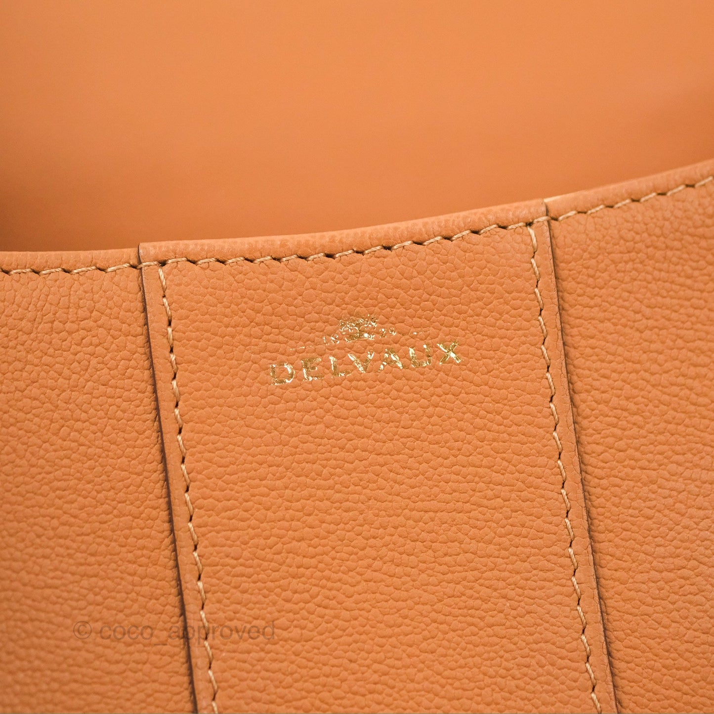 Delvaux Mini Brillant Bag Vegetal Rodeo Calf Gold Hardware