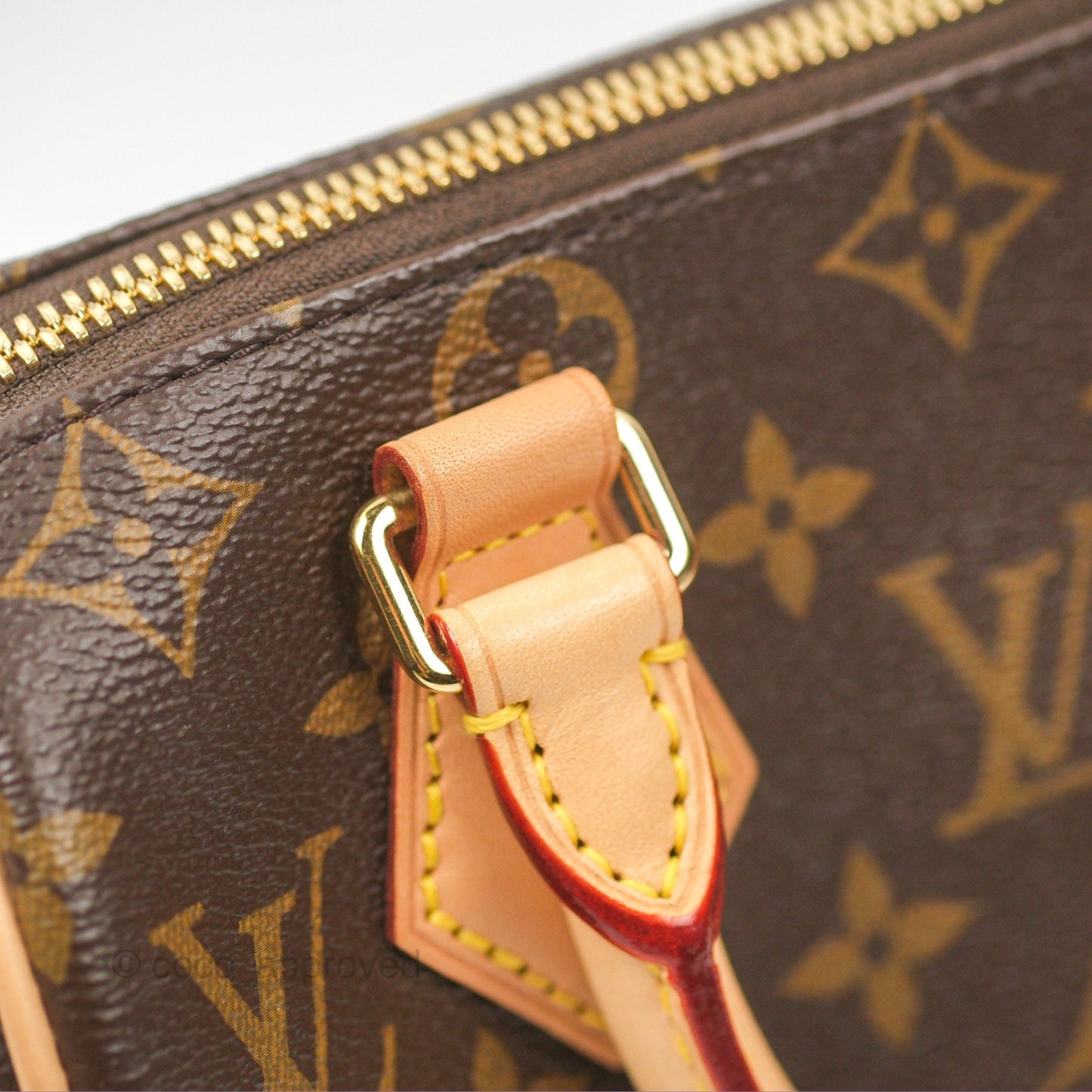 Louis Vuitton Speedy Bandoulière 20 Monogram