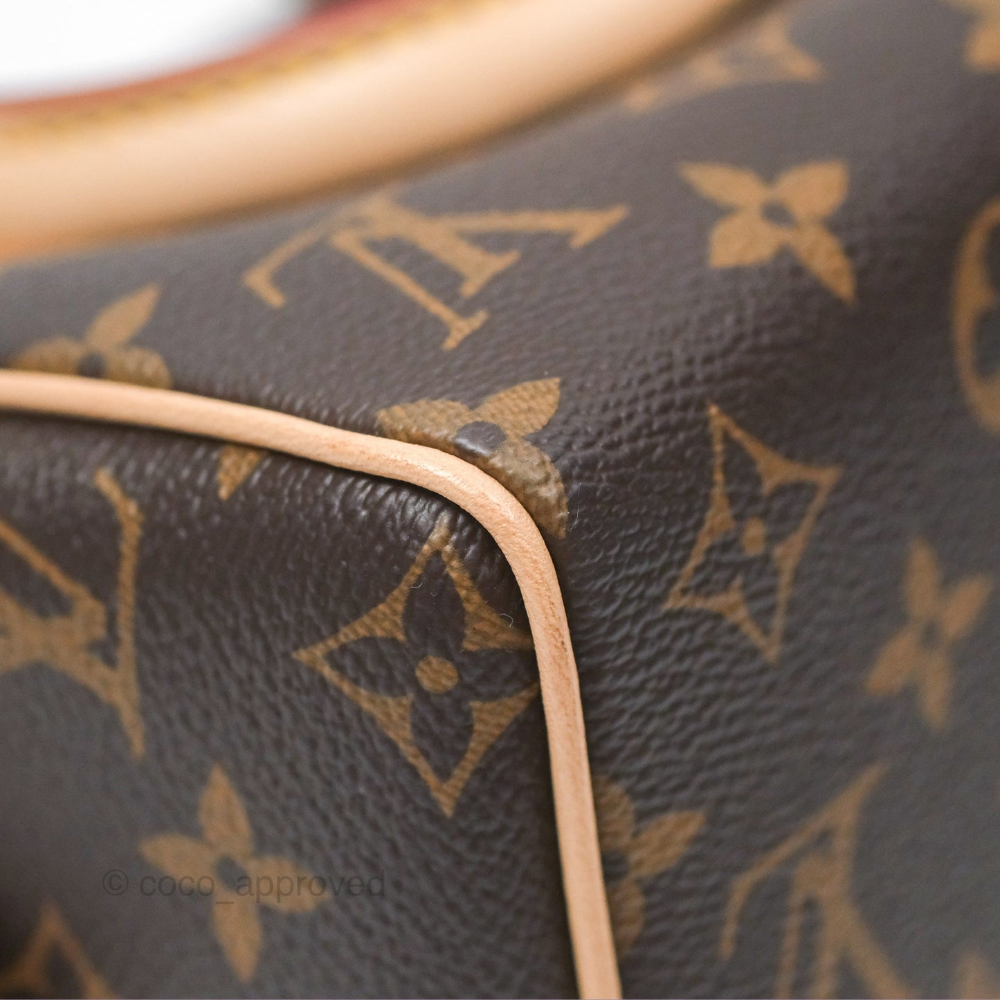 Louis Vuitton Speedy Bandoulière 20 Monogram