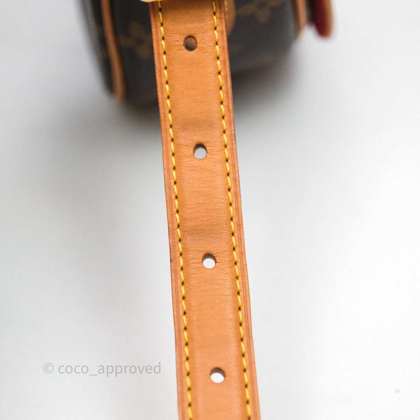 Louis Vuitton Tambourin Monogram Canvas Bag