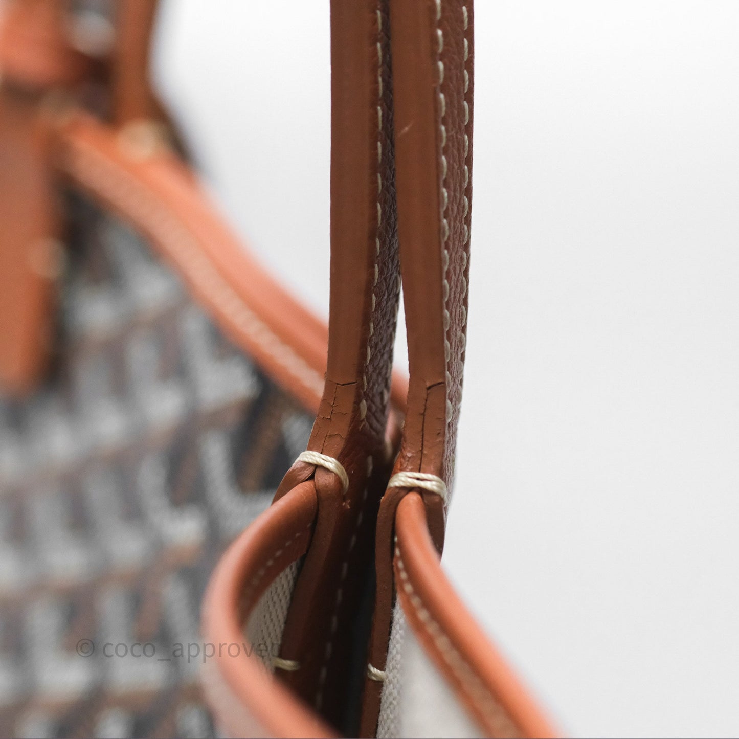Goyard Saint Louis Tote PM⁣⁣⁣⁣⁣⁣⁣⁣⁣⁣⁣⁣⁣⁣⁣⁣⁣⁣⁣⁣ Black/Tan