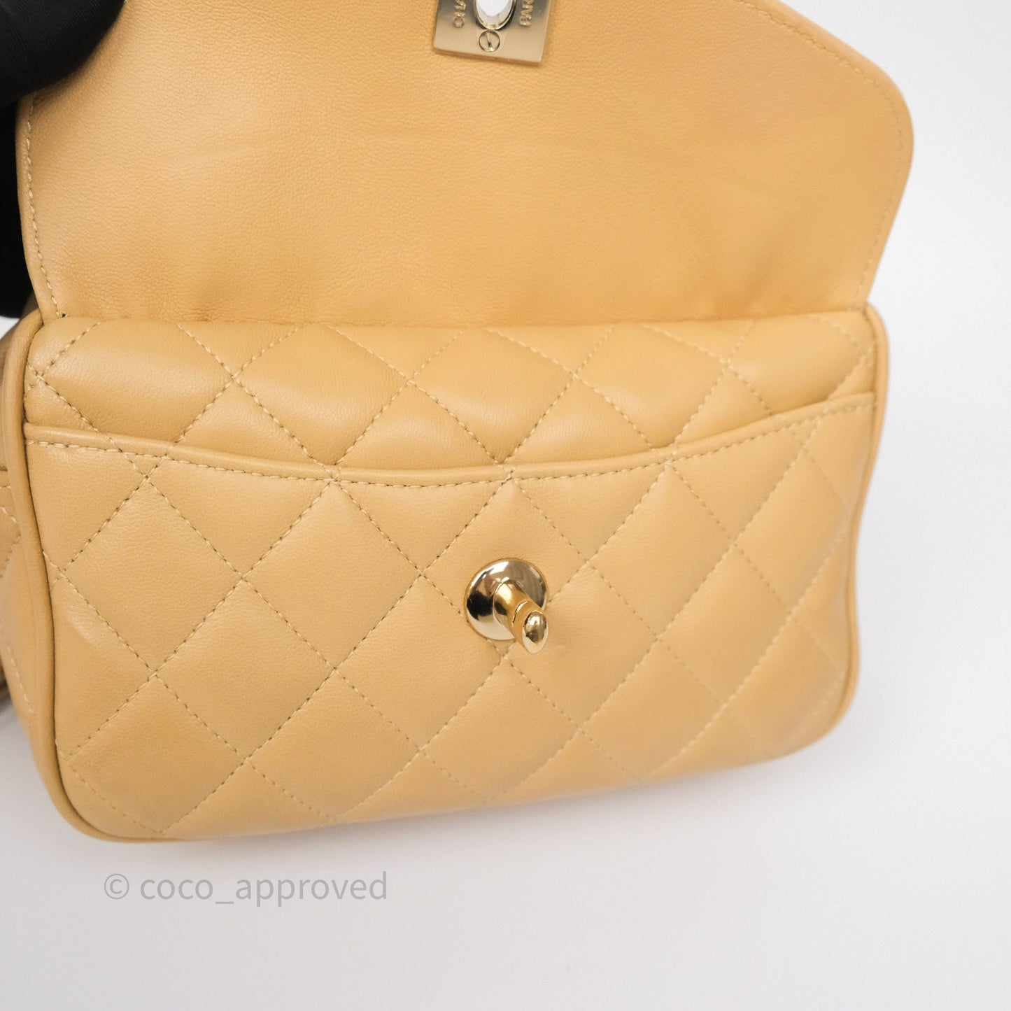 Chanel Coco Vintage Camera Case Beige Calfskin Gold Hardware