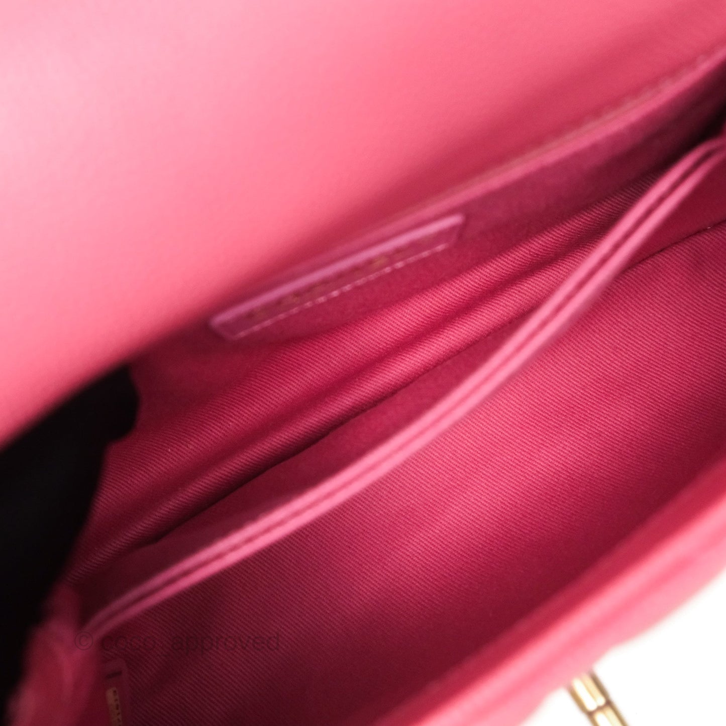 Chanel Small Coco Handle Quilted Pink Caviar Aged Gold Hardware Lizard Handle