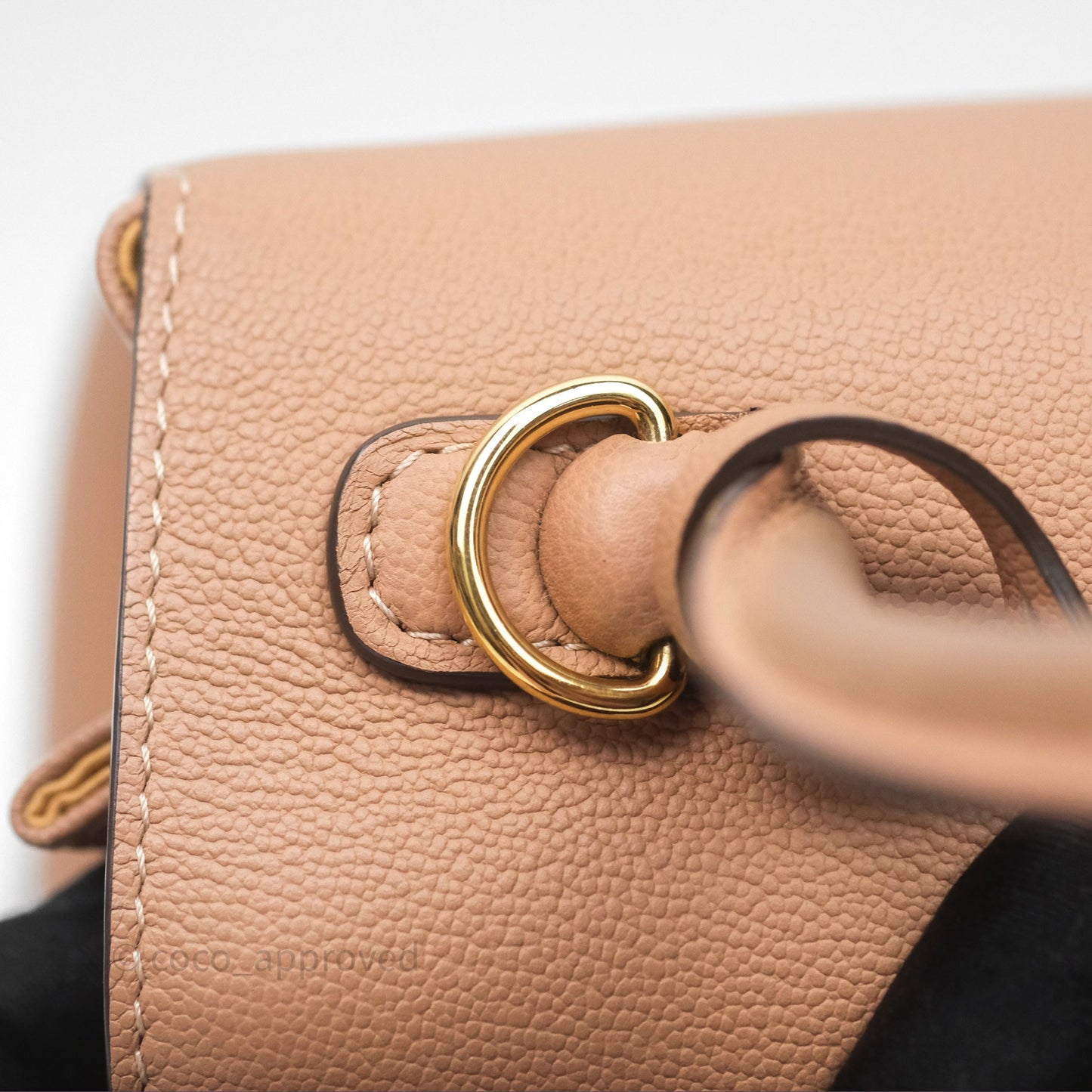 Delvaux Mini Brillant Bag Vison Grained Calfskin Gold Hardware with Twilly