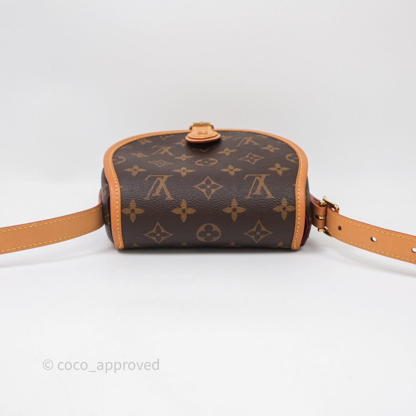 Louis Vuitton Tambourin Monogram Canvas Bag