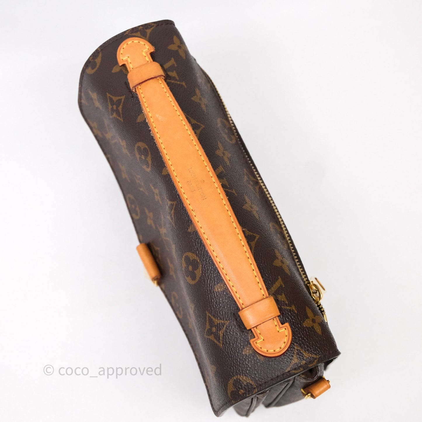 Louis Vuitton Pochette Metis Monogram Canvas