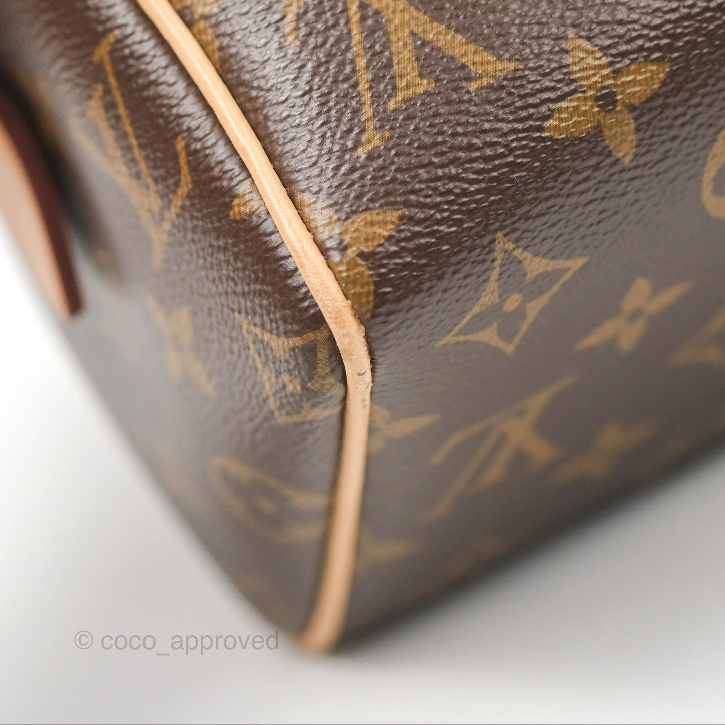 Louis Vuitton Speedy Bandoulière 20 Monogram