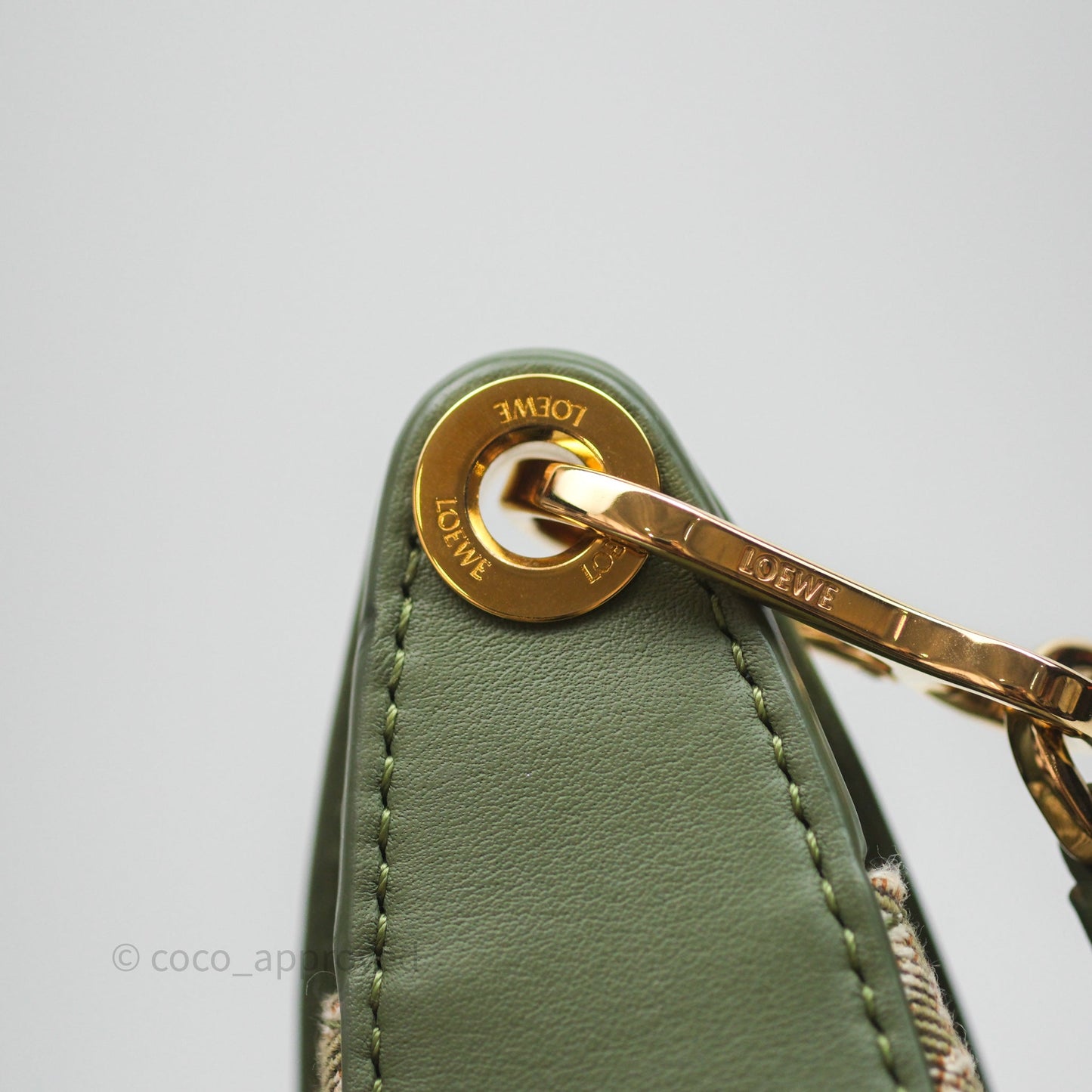 Loewe Small Luna Anagram Shoulder Bag Green Calfskin Jacquard