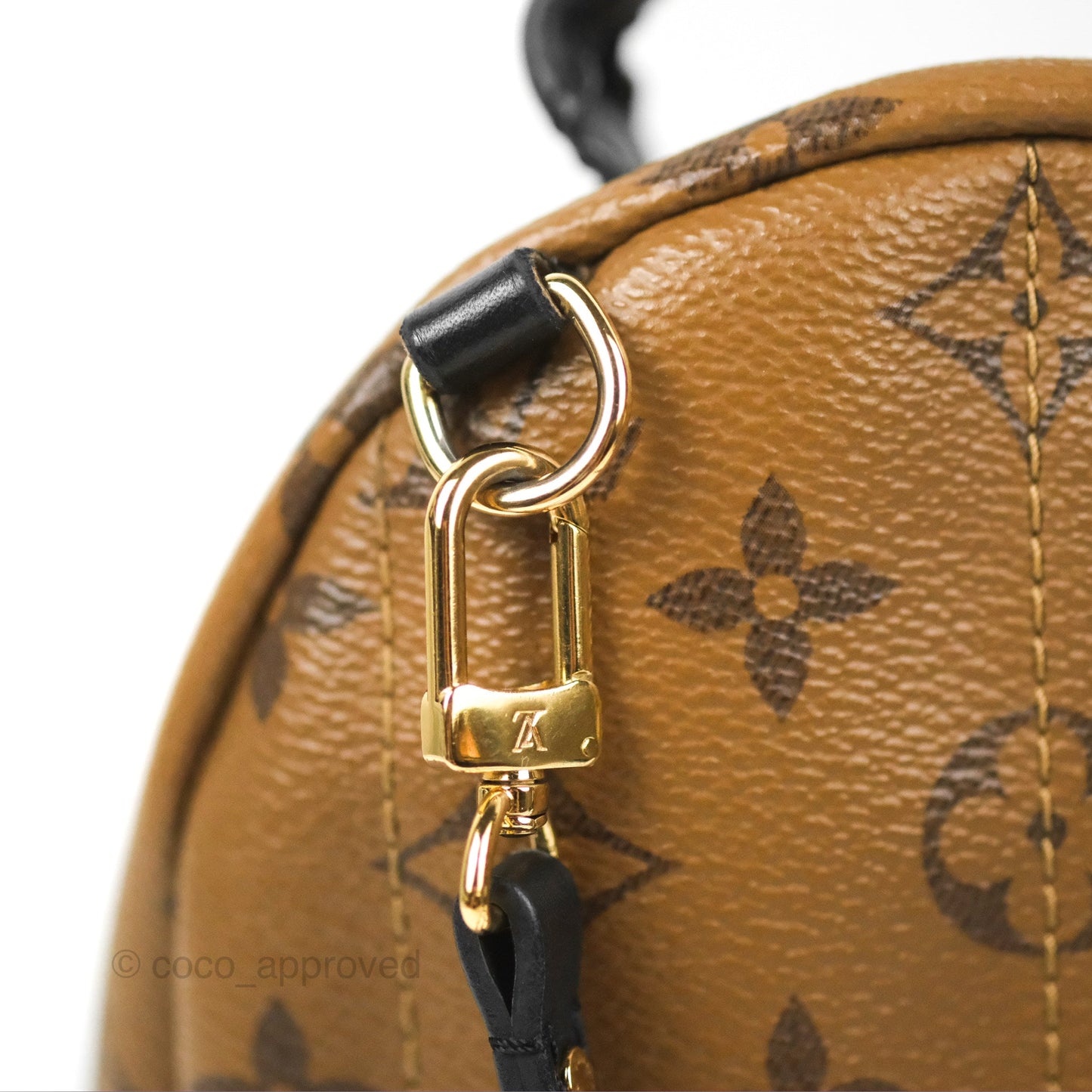 Louis Vuitton Reverse Mini Palm Springs Backpack⁣