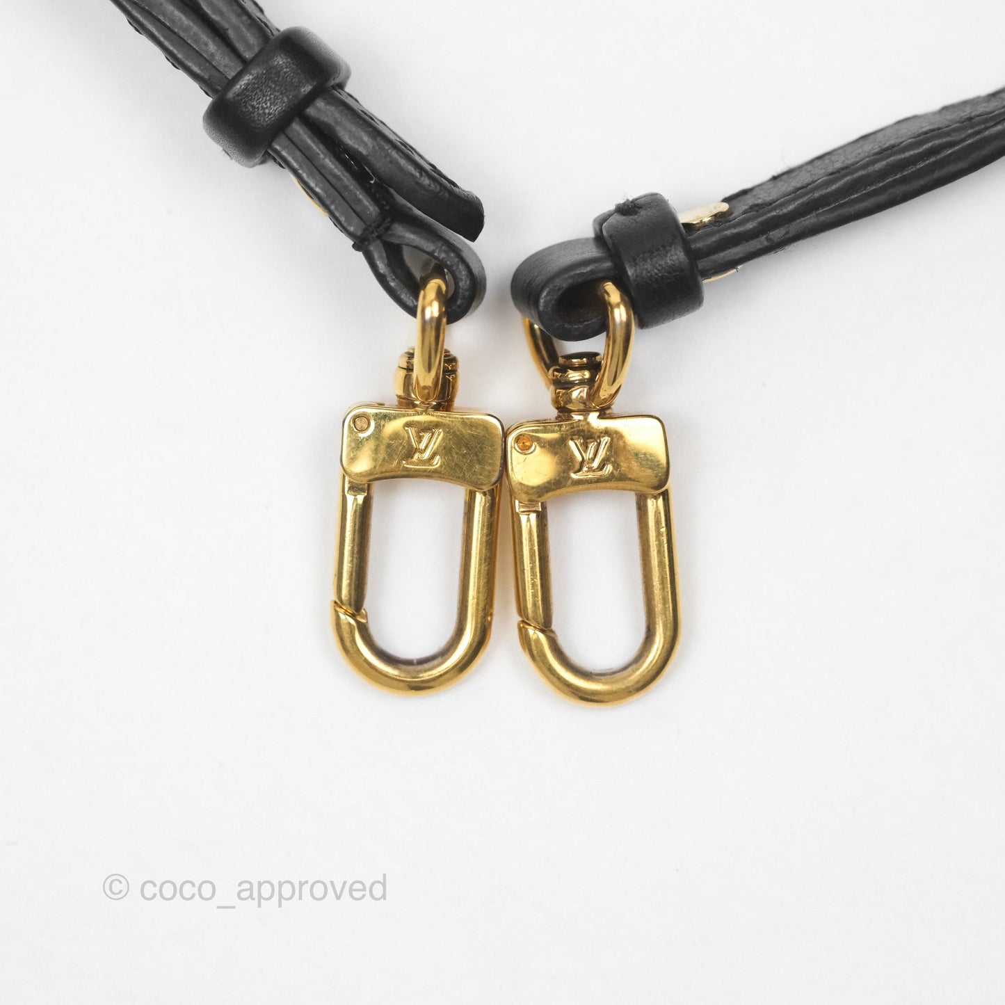 Louis Vuitton Monogram Mini Palm Springs Backpack⁣