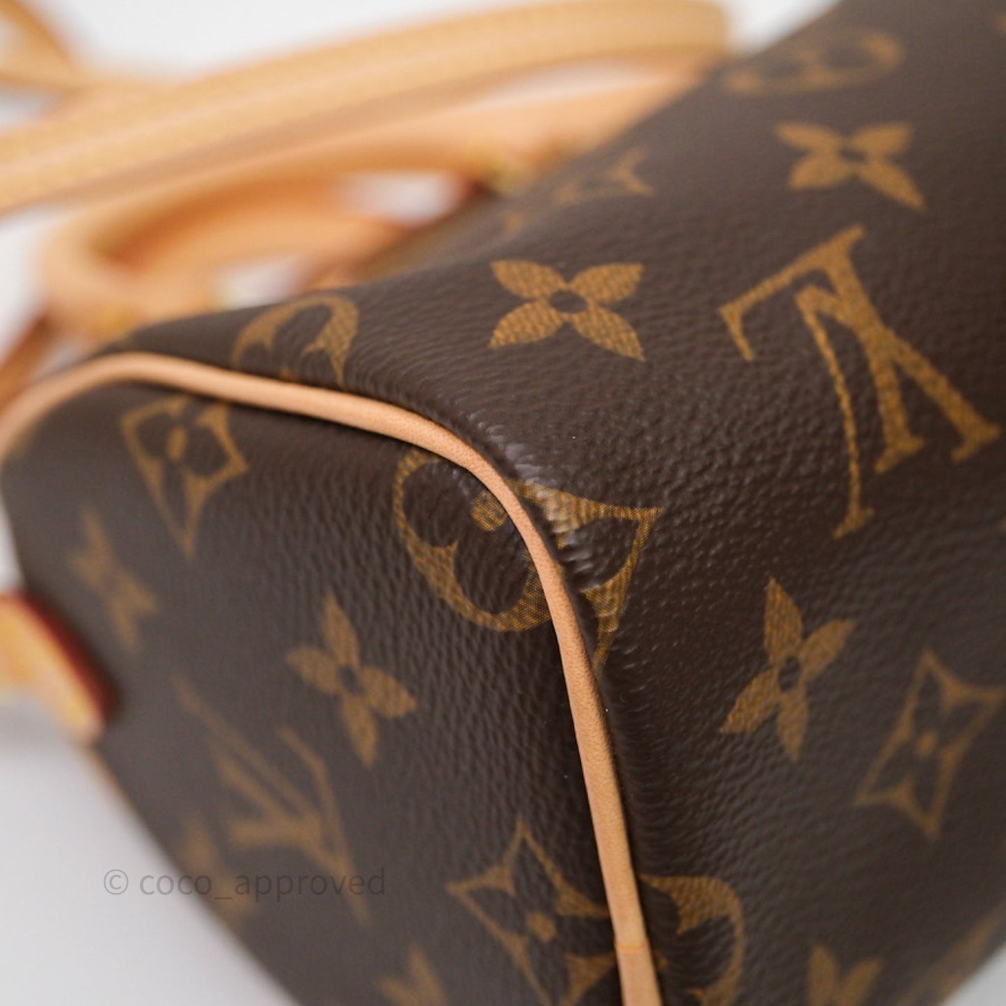 Louis Vuitton Nano Speedy Monogram Canvas