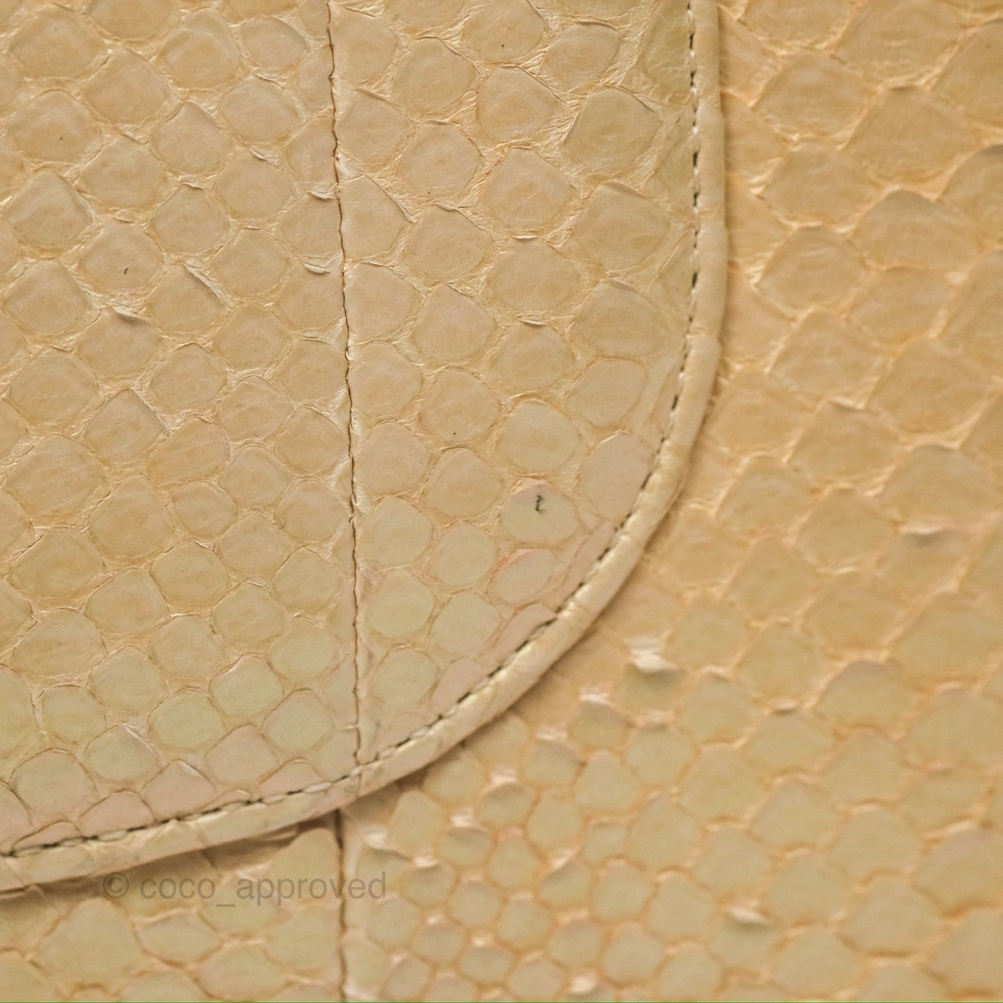 Chanel Jumbo Double Flap Iridescent Gold Python Gold Hardware⁣⁣