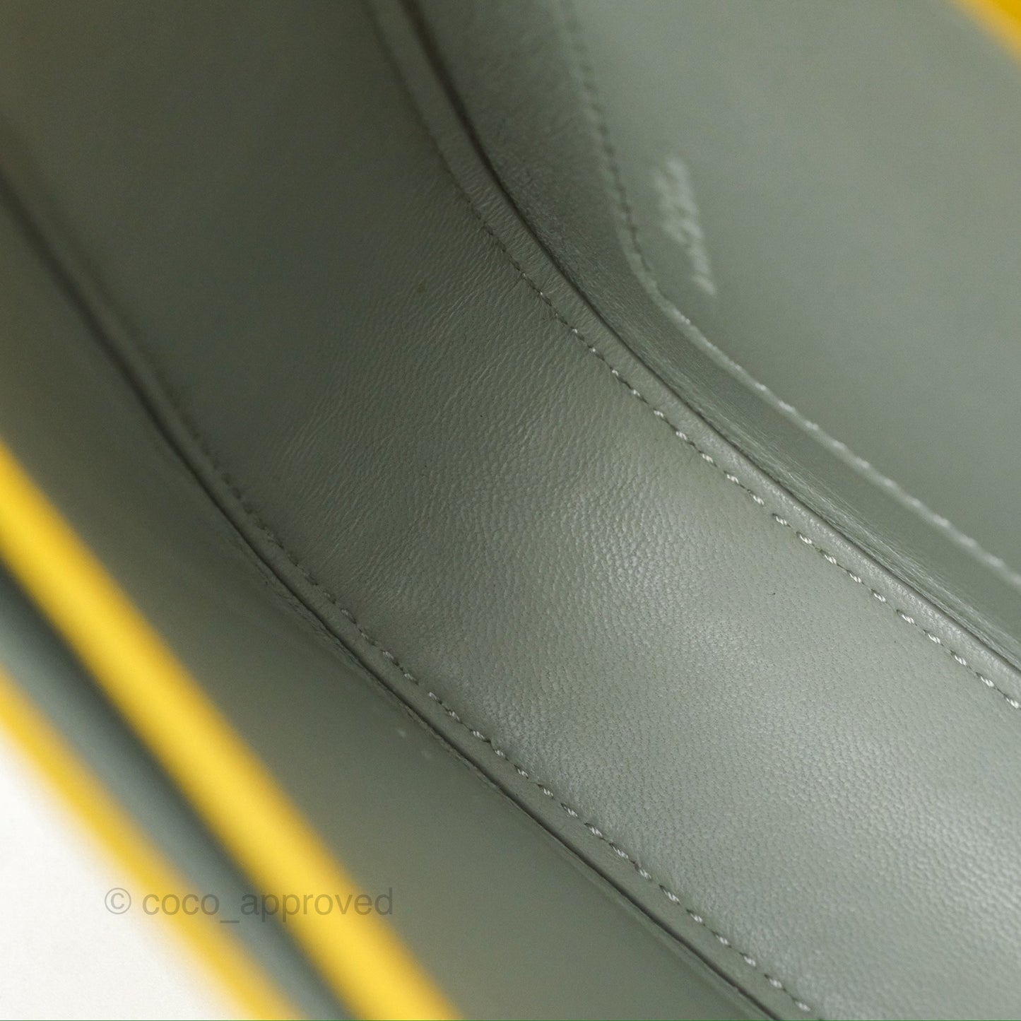 Loewe Small Goya Bag Yellow Silk Calfskin