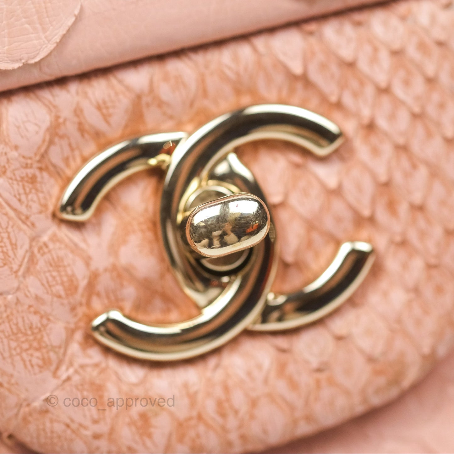 Chanel Jumbo Double Flap Python Pink Gold Hardware