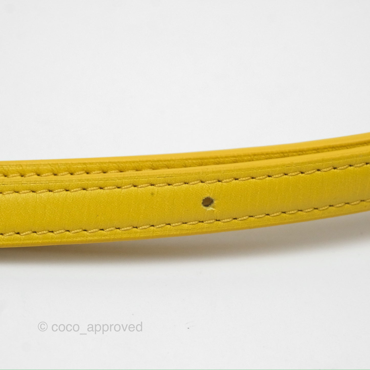 Loewe Small Goya Bag Yellow Silk Calfskin