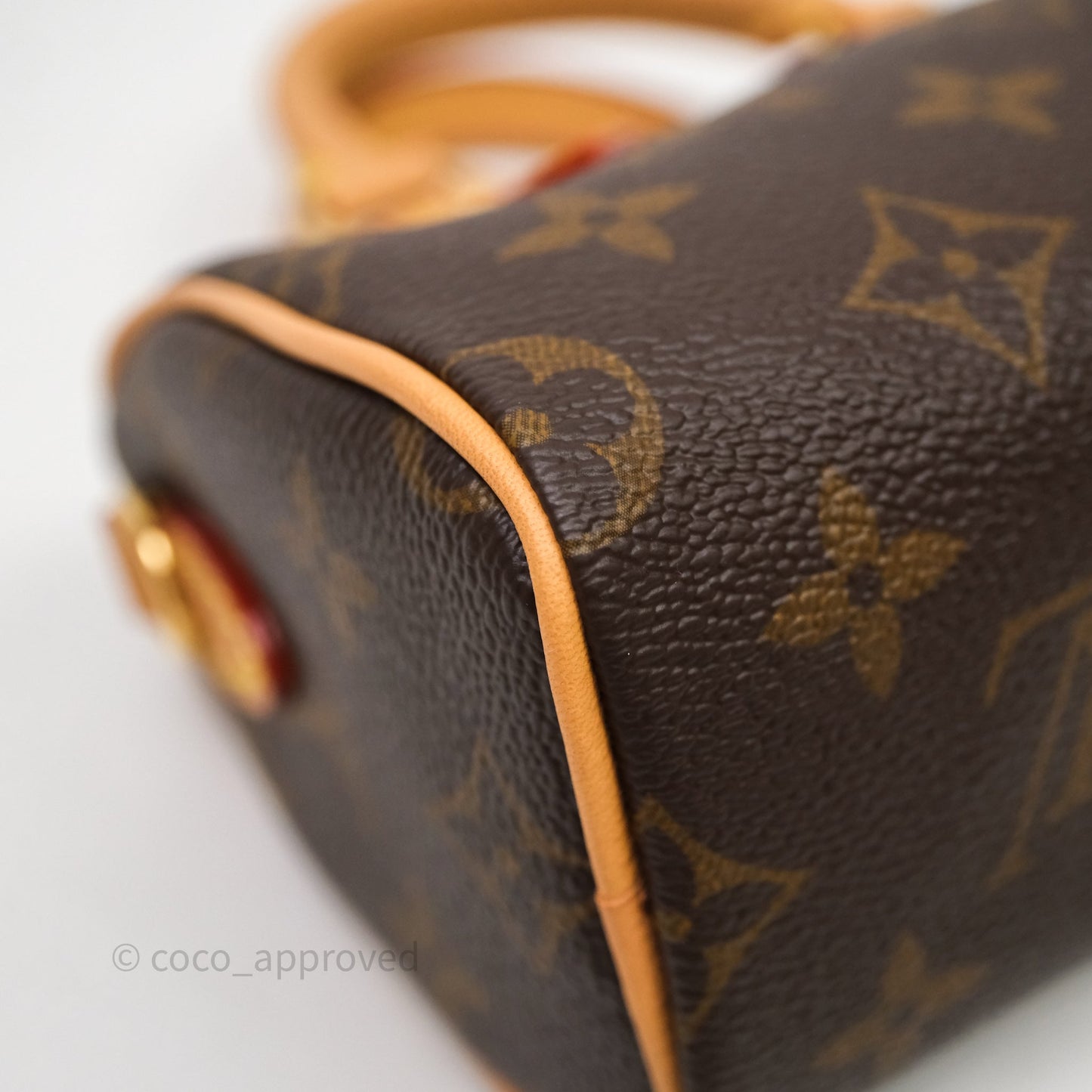Louis Vuitton Nano Speedy Monogram