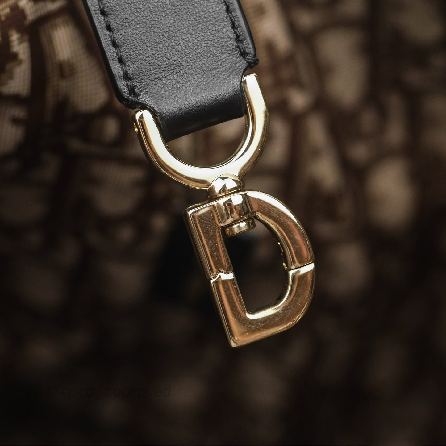 Christian Dior Large Toujours Bag Beige And Black Water-Repellent Fabric With Paris Print