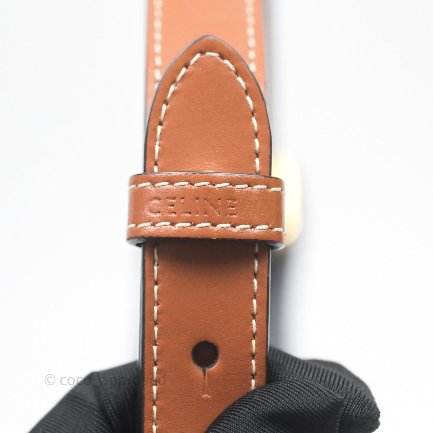 Celine Ava Bag In Triomphe Canvas Calfskin Tan
