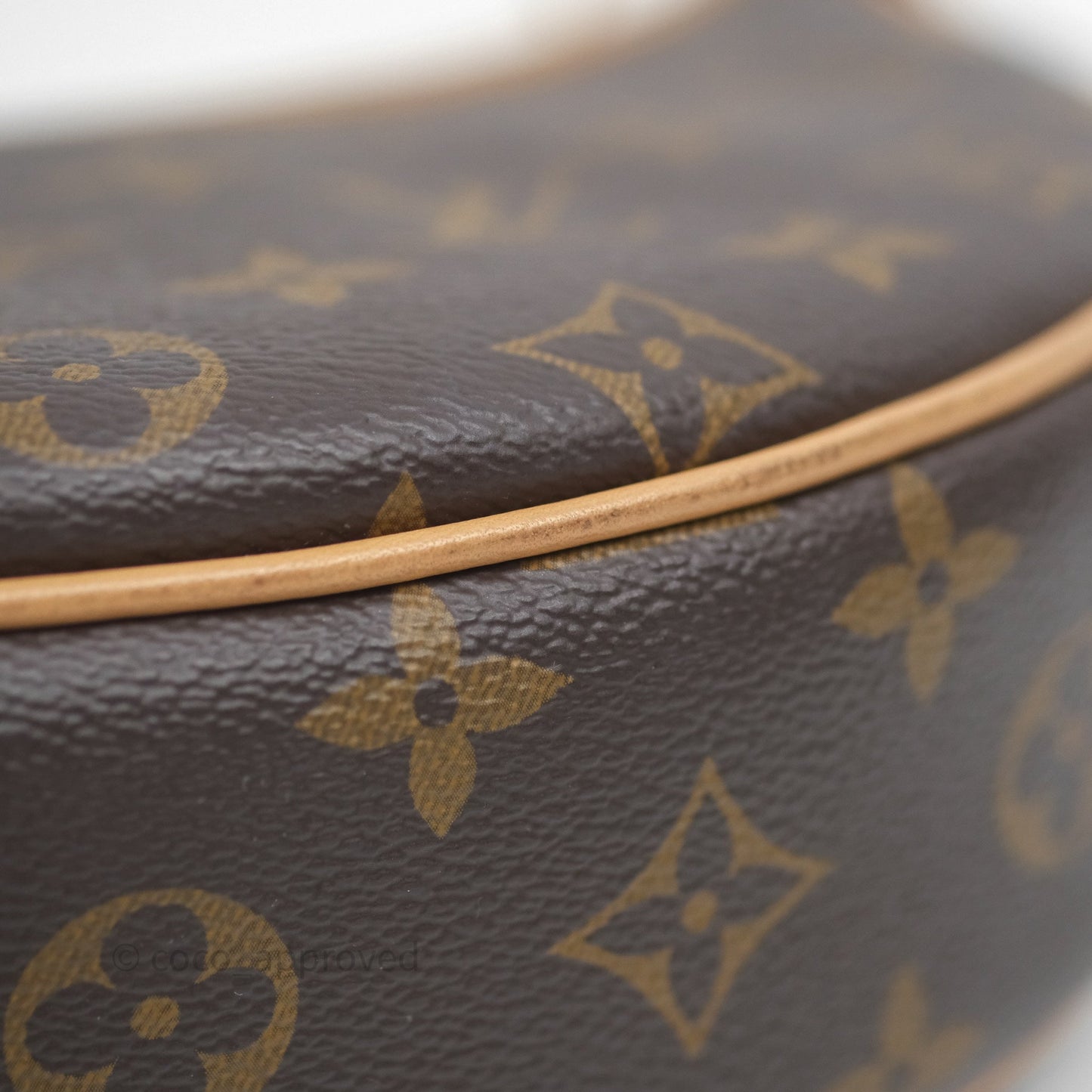 Louis Vuitton Loop Monogram Canvas