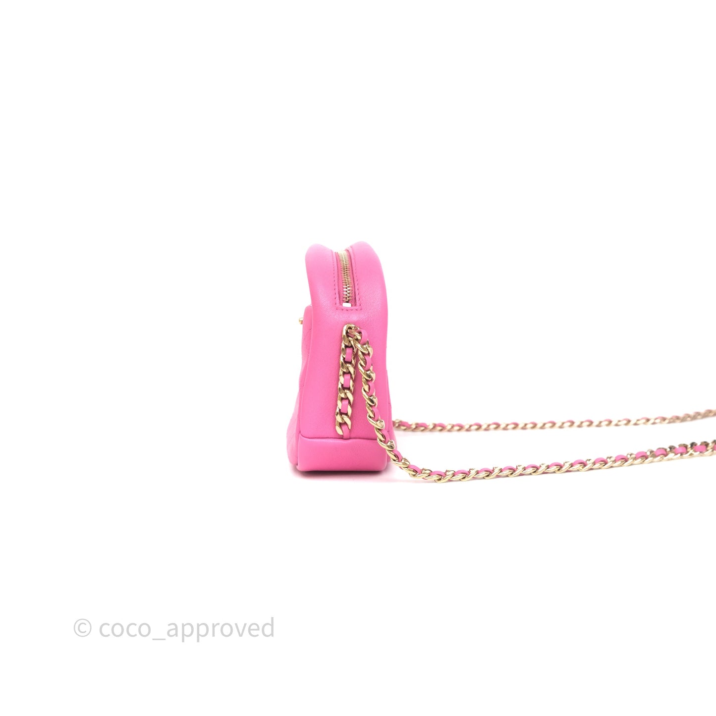 Chanel Camera Bag Pink Calfskin Aged Gold Hardware