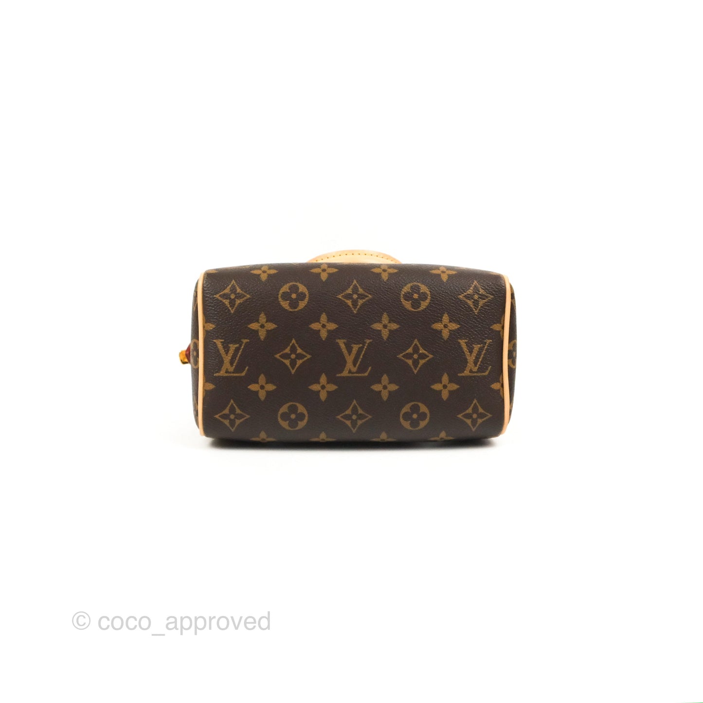 Louis Vuitton Speedy Bandoulière 20 Monogram