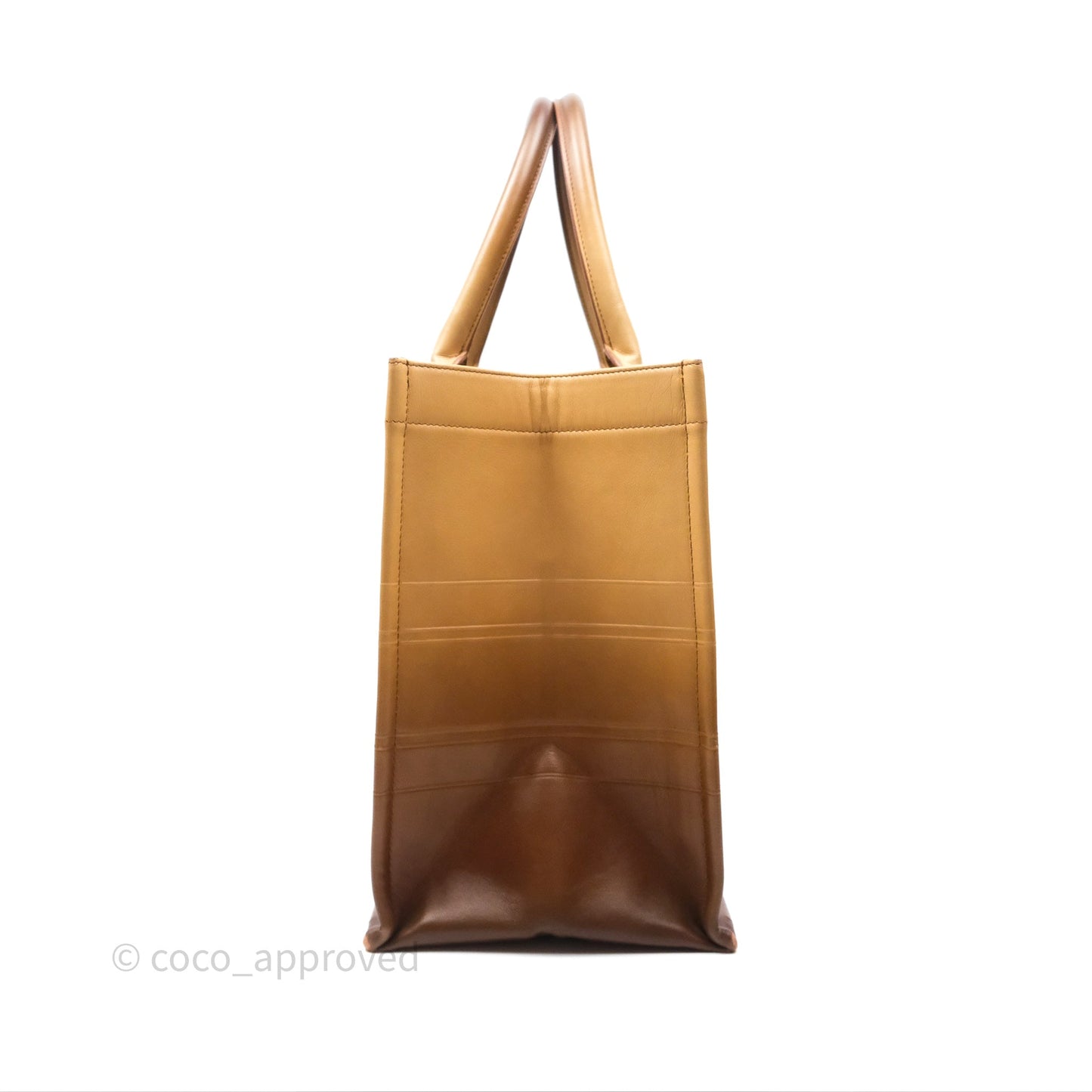 Christian Dior Medium Book Tote Gradient Brown Calfskin
