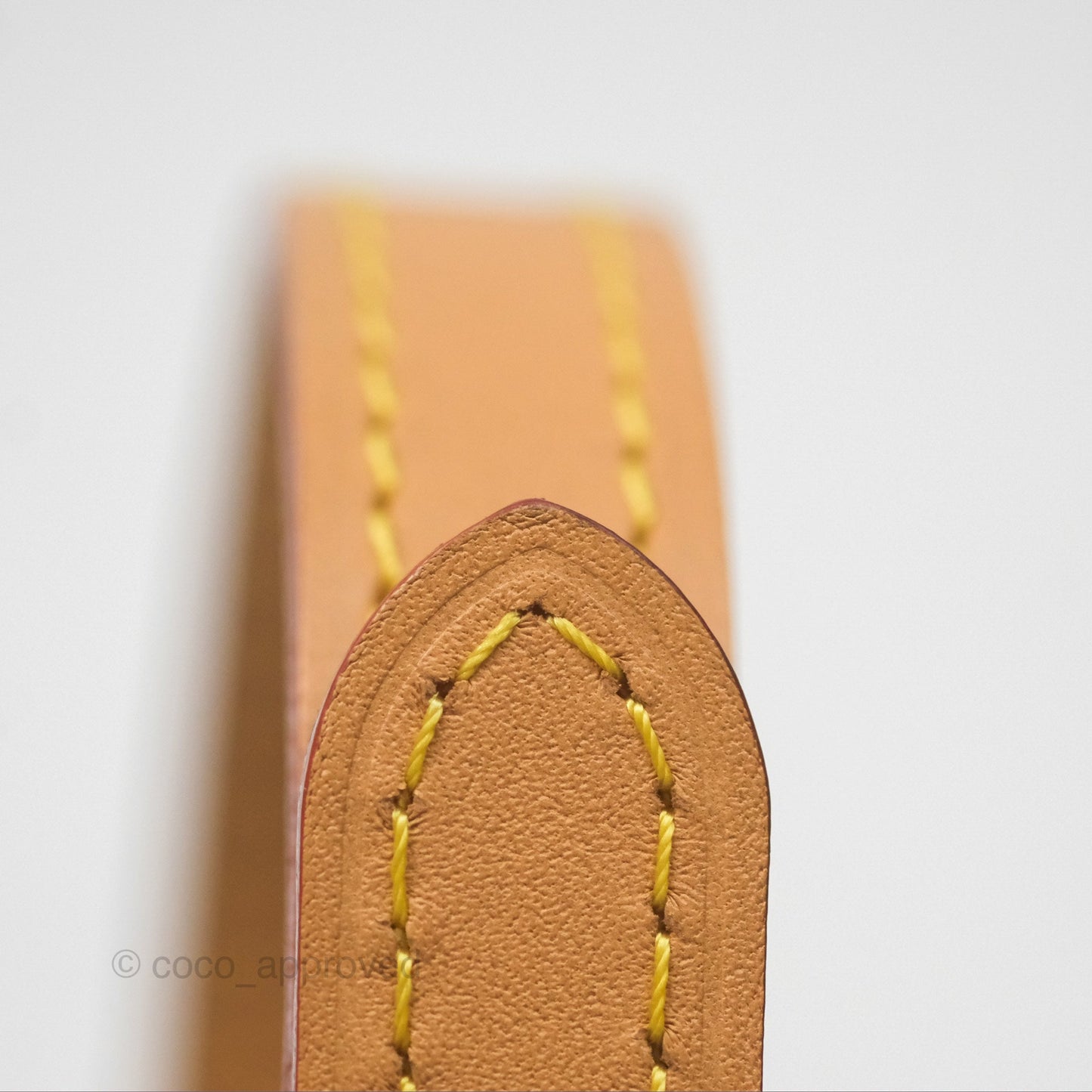 Louis Vuitton Nano Speedy Monogram