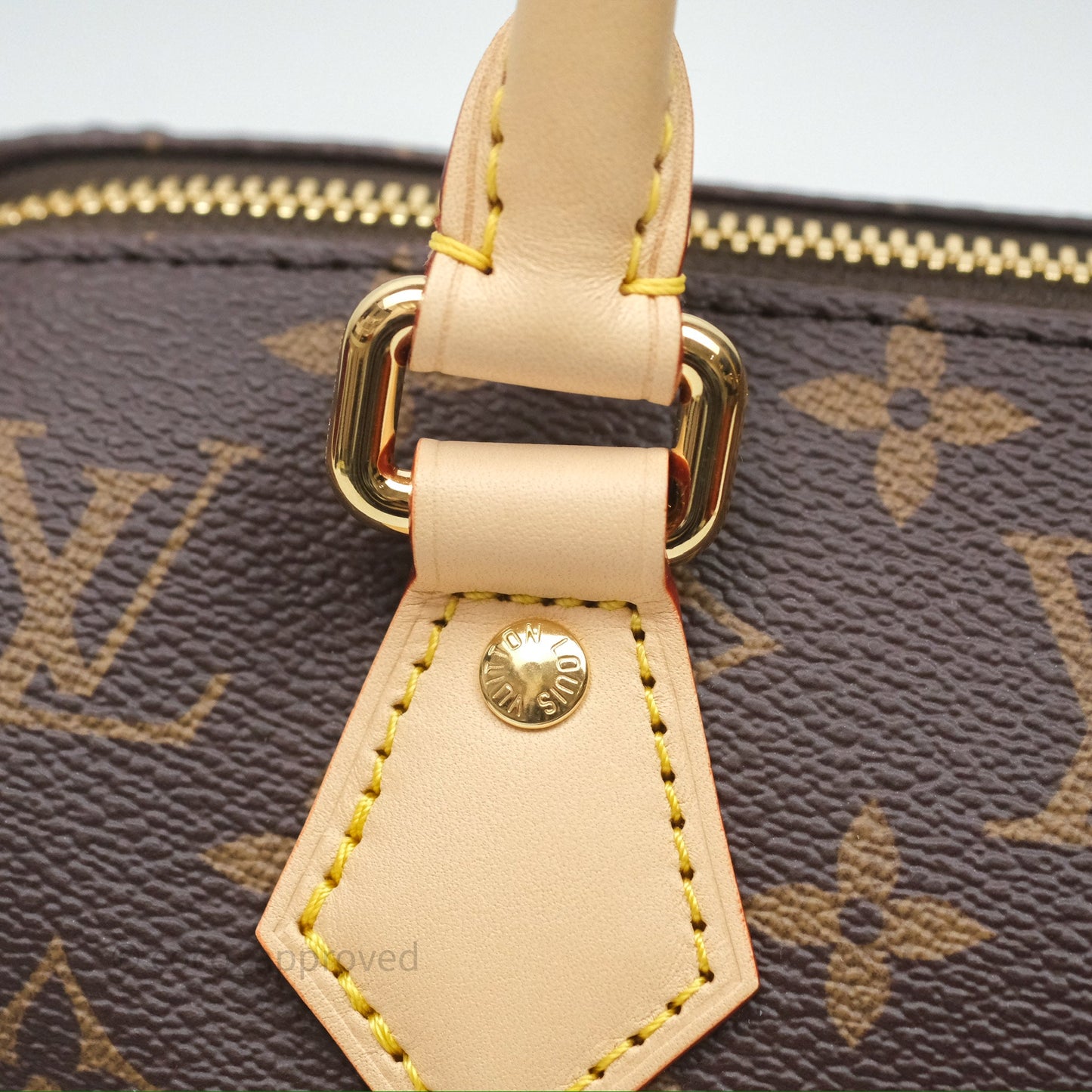 Louis Vuitton LV x Murakami Speedy Bandoulière 20 Monogram