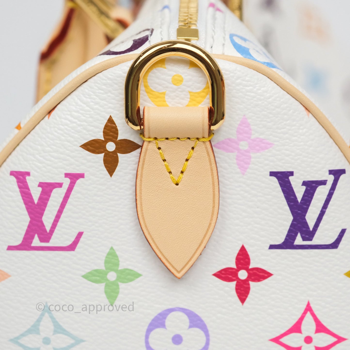 Louis Vuitton x TM Speedy Bandoulière 25