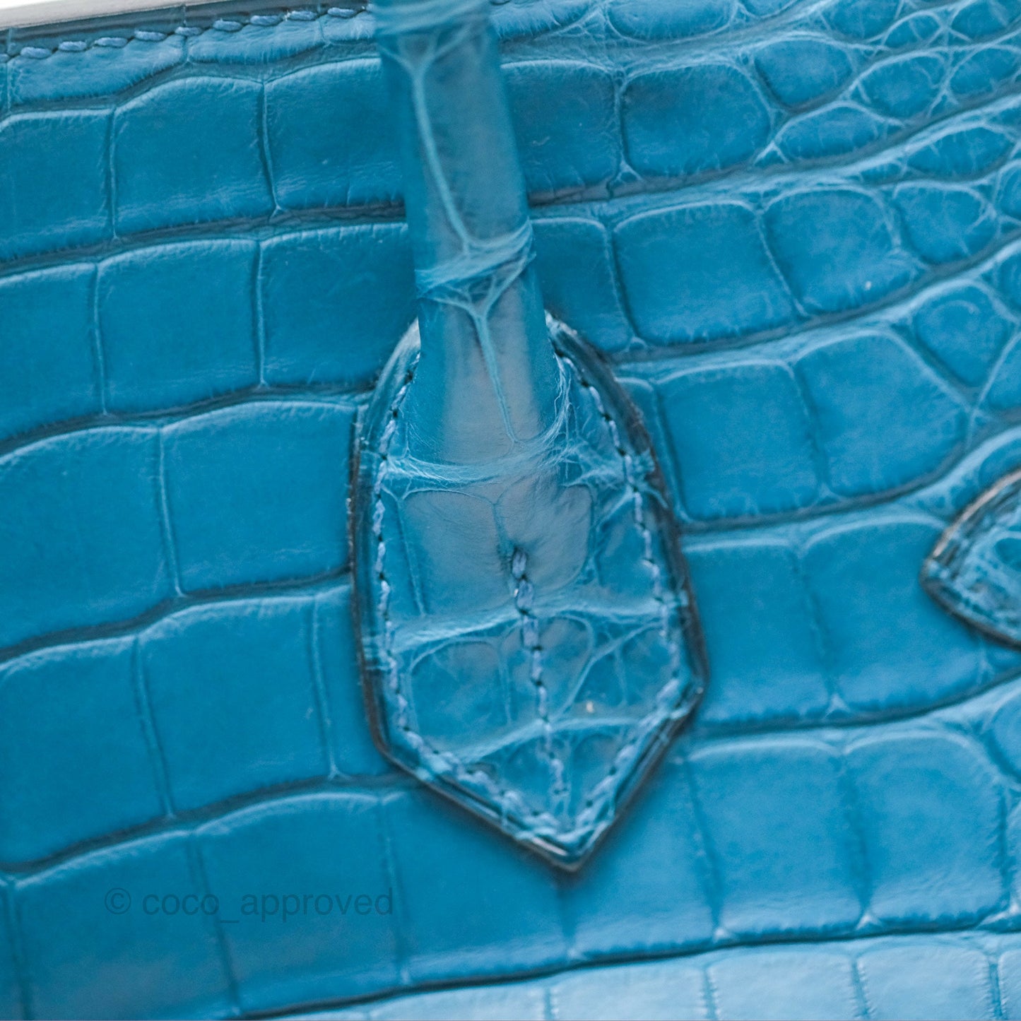 Hermès Birkin 30 Retourne Colvert Matte Niloticus Crocodile Palladium Hardware