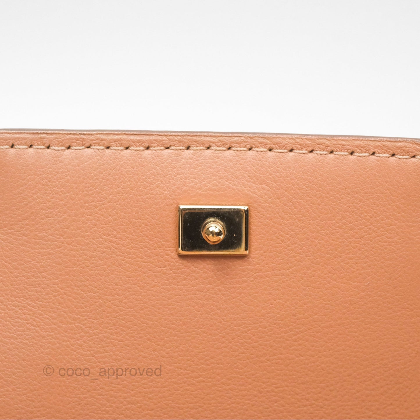 Delvaux Tempête Mini Beige Supple Calfskin Gold Hardware