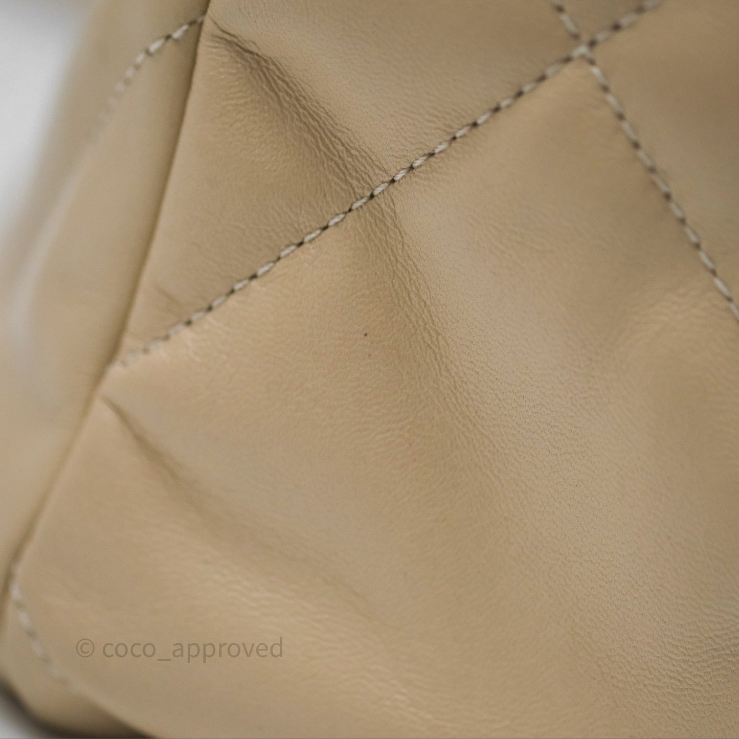 Chanel 19 Medium Beige Mixed Hardware