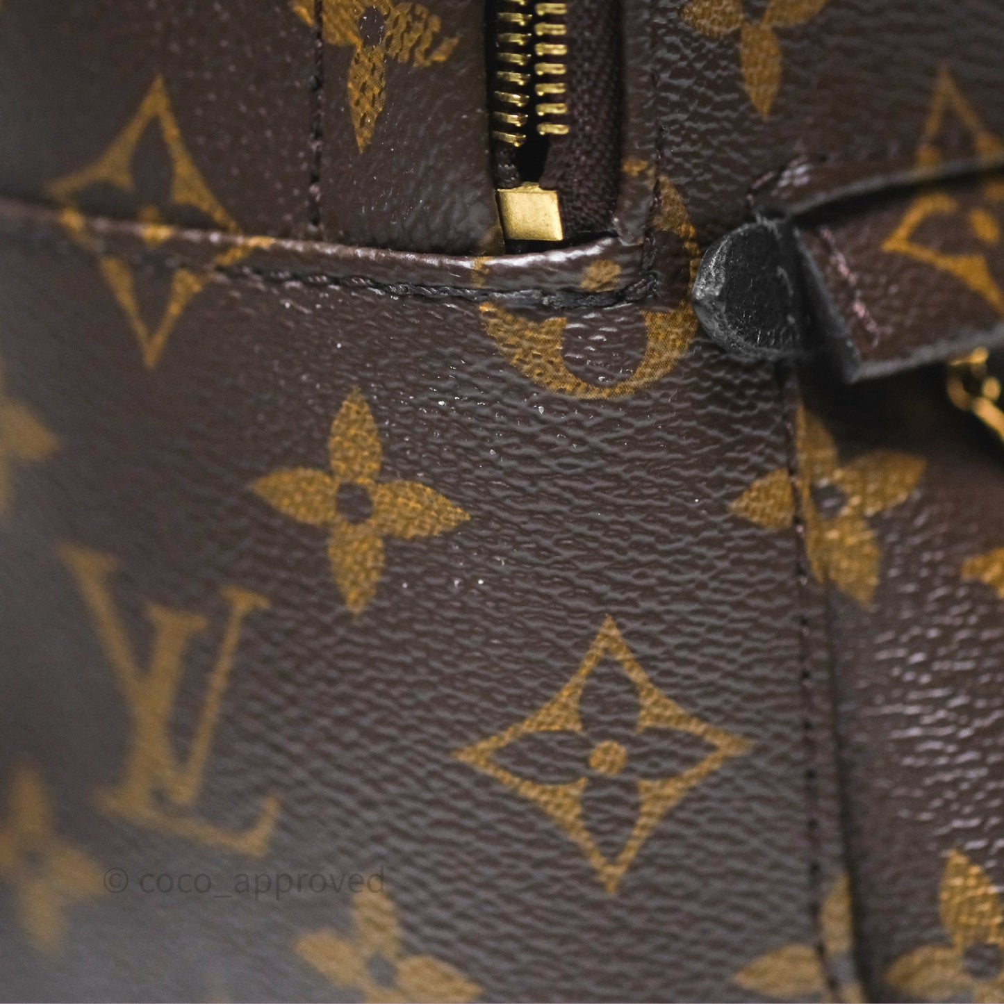Louis Vuitton Monogram Mini Palm Springs Backpack⁣