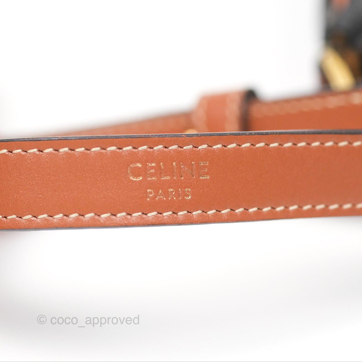 Celine Mini Ava Bag In Triomphe Canvas Calfskin Tan