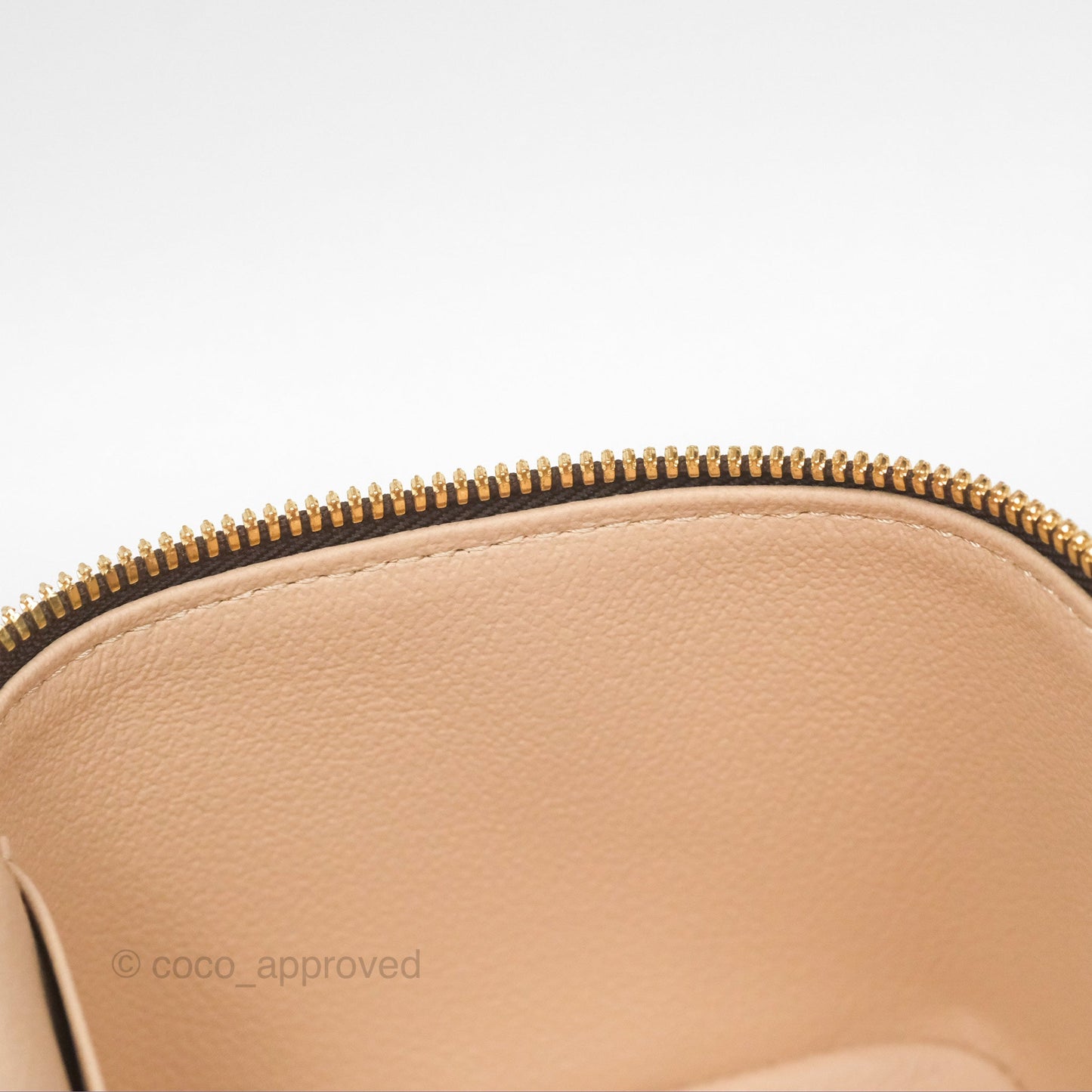 Louis Vuitton Monogram Nice Mini