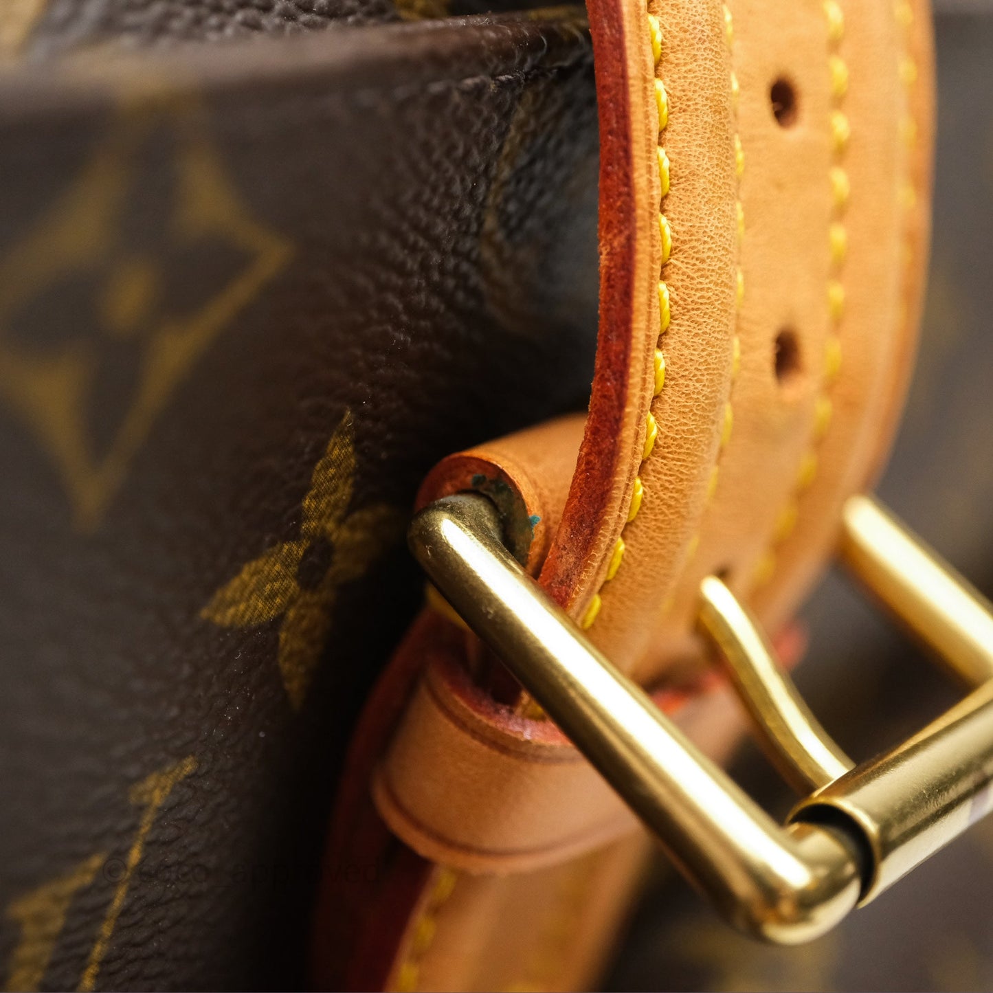 Louis Vuitton Multipli-Cite Tote Monogram Canvas