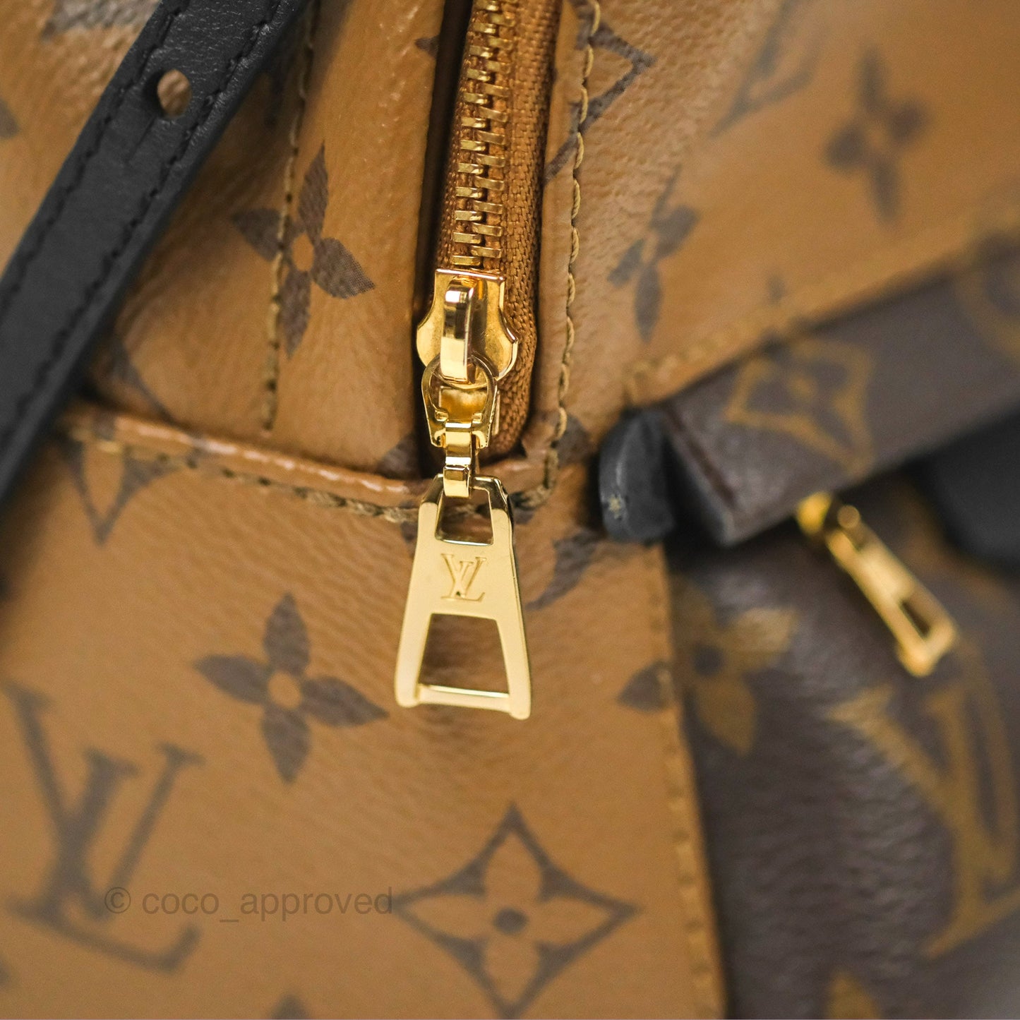Louis Vuitton Reverse Mini Palm Springs Backpack⁣