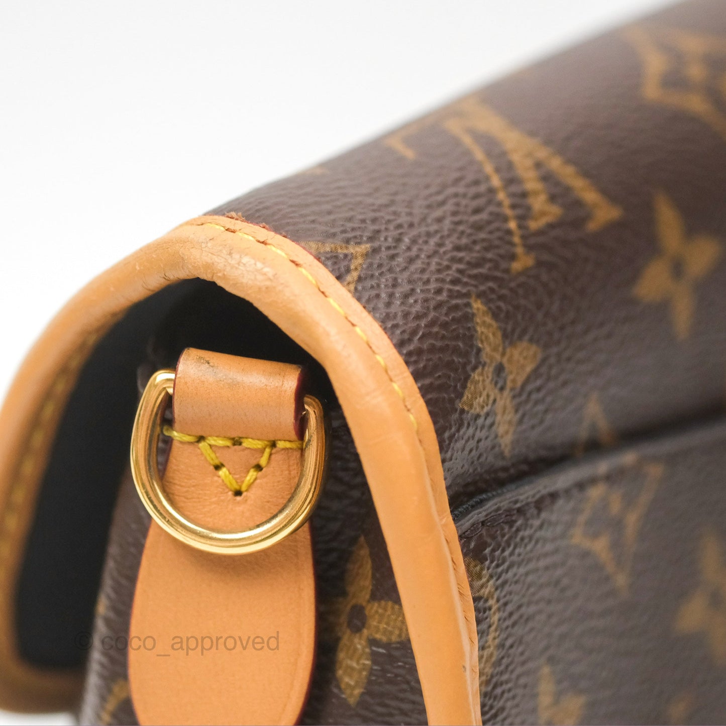 Louis Vuitton Diane Bag Monogram Canvas with Jacquard Strap
