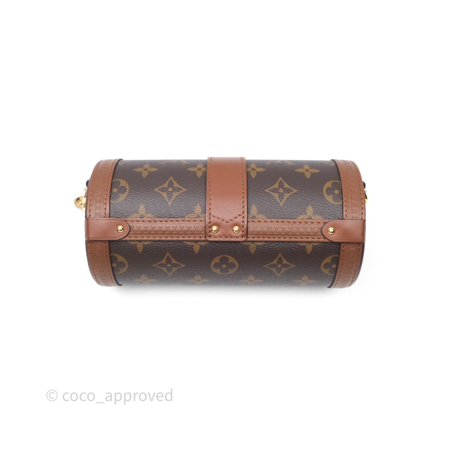 Louis Vuitton Papillon Trunk Monogram Coated Canvas