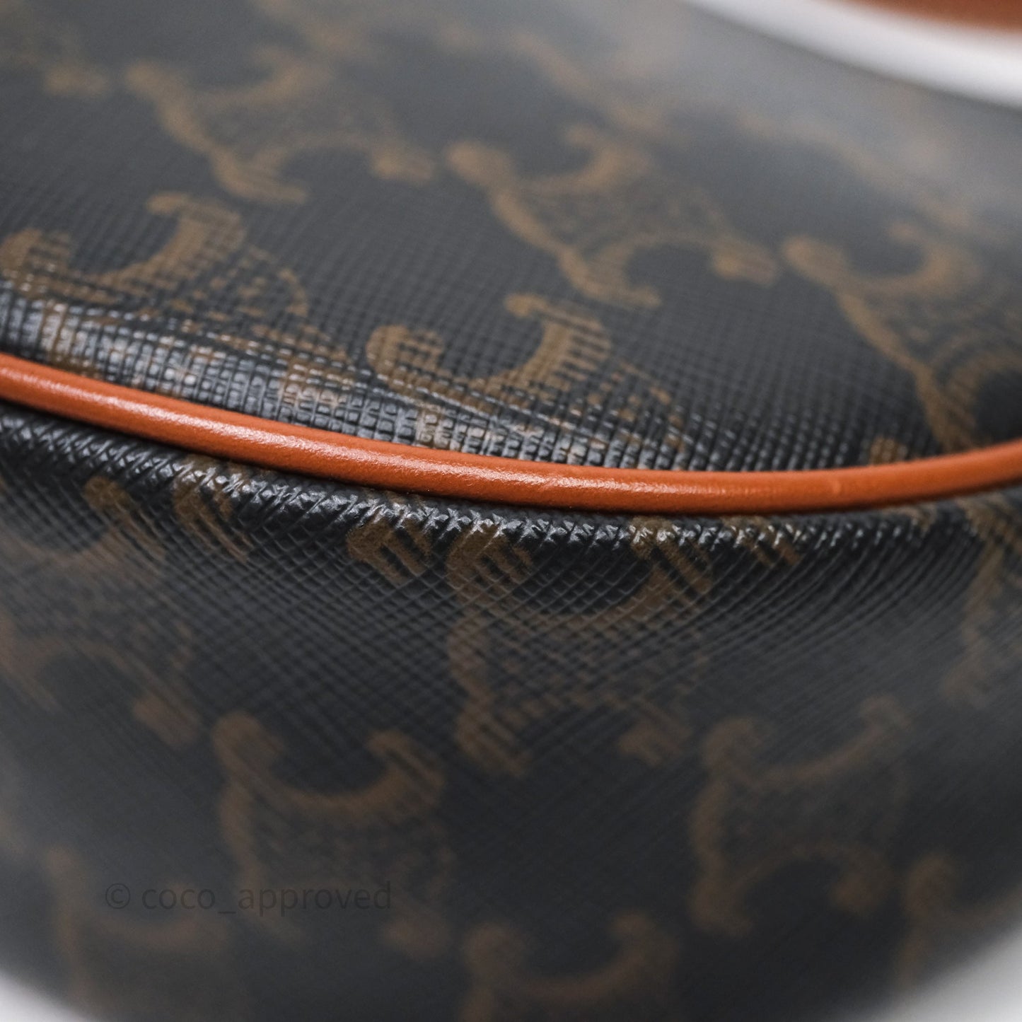 Celine Ava Bag In Triomphe Canvas Calfskin Tan
