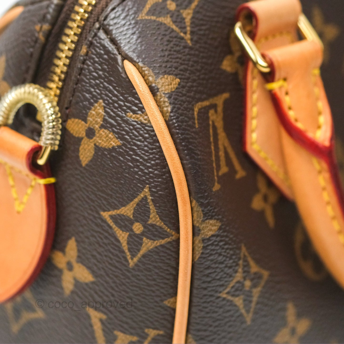 Louis Vuitton Speedy Bandoulière 20 Monogram