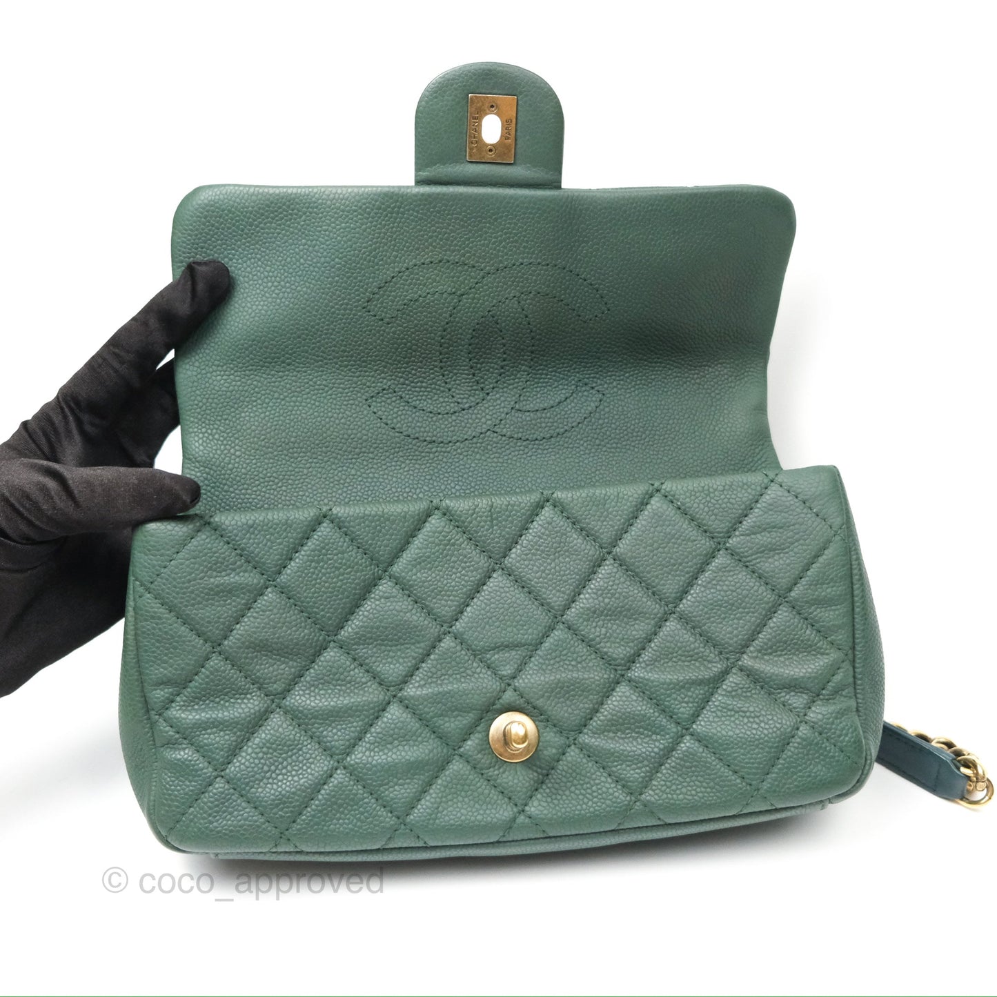 Chanel Globe Trotter Flap Bag Dark Green Caviar Aged Gold Hardware