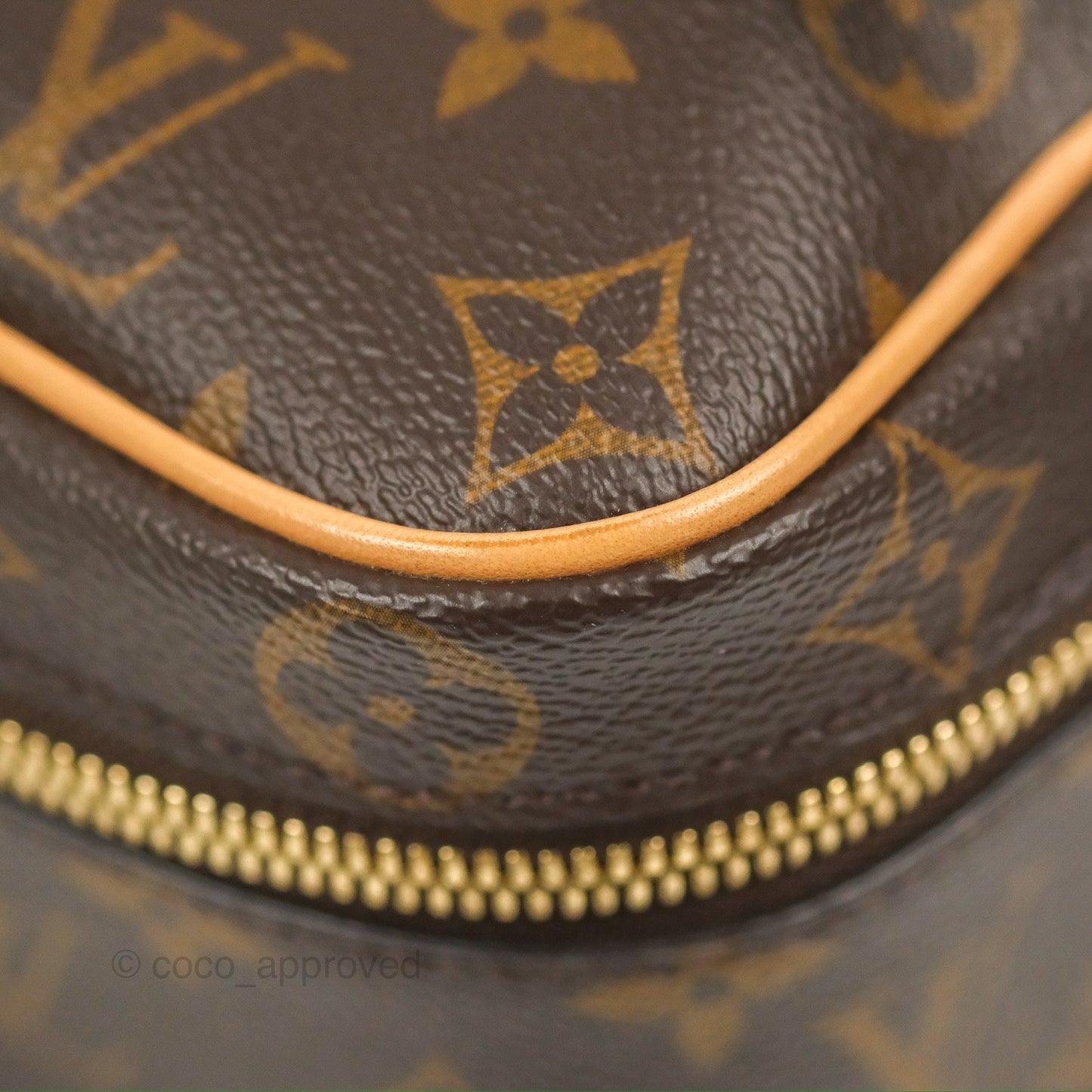 Louis Vuitton Nice Mini Monogram Canvas