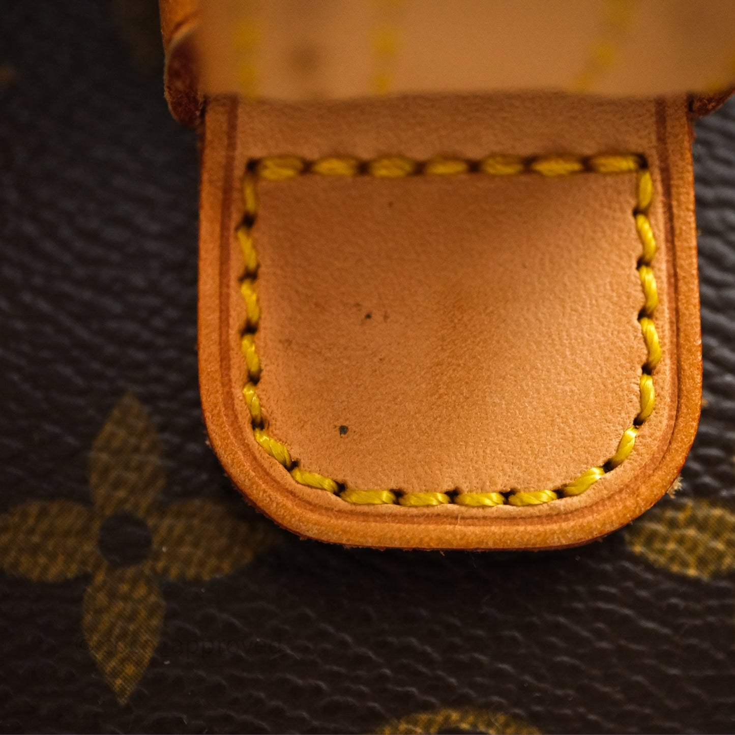 Louis Vuitton Multipli-Cite Tote Monogram Canvas