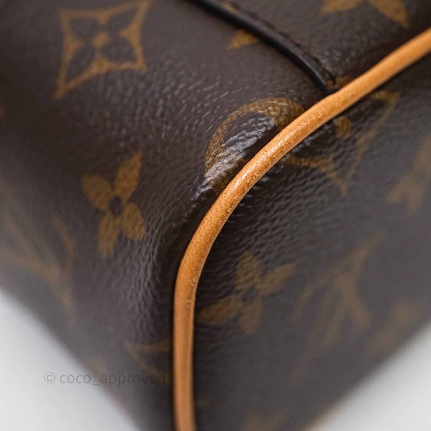 Louis Vuitton Nice Nano Monogram Canvas