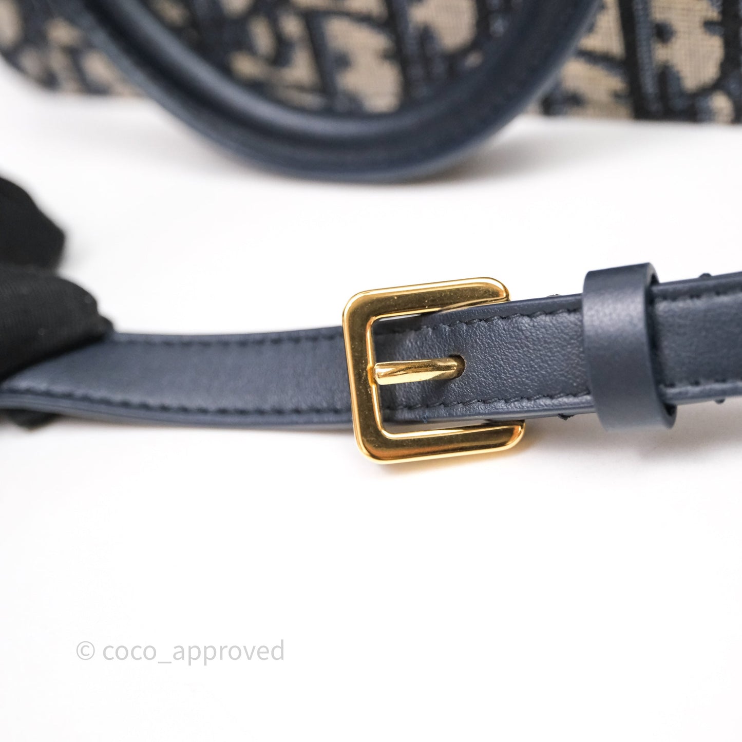 Christian Dior 30 Montaigne Doctor Mini Bag