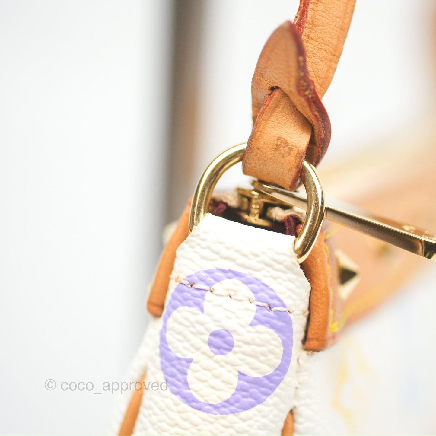 Louis Vuitton x Takashi Murakami Pochette White Rainbow Monogram